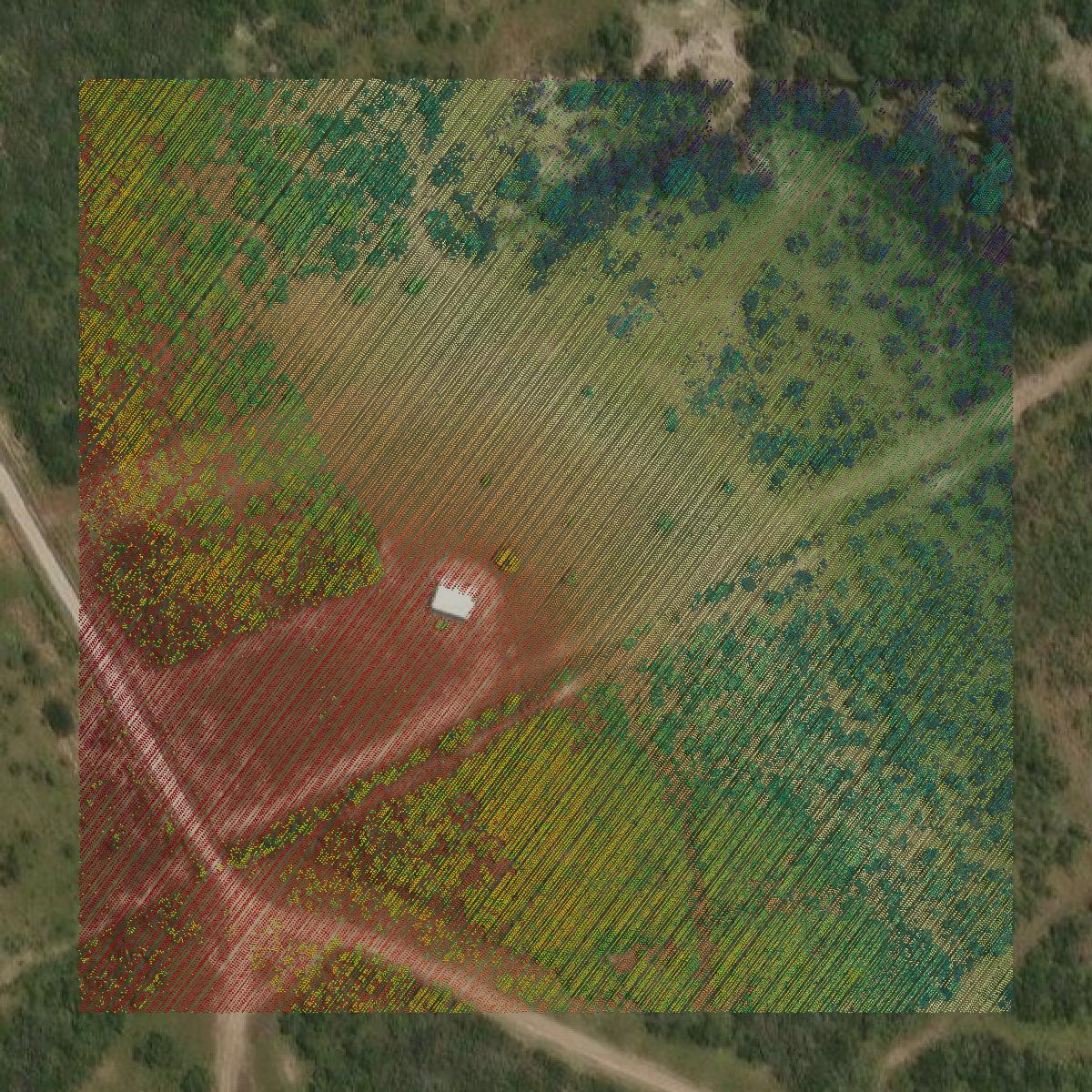 This image shows a LiDAR point cloud in Karnes County created using GIS data in Equator.