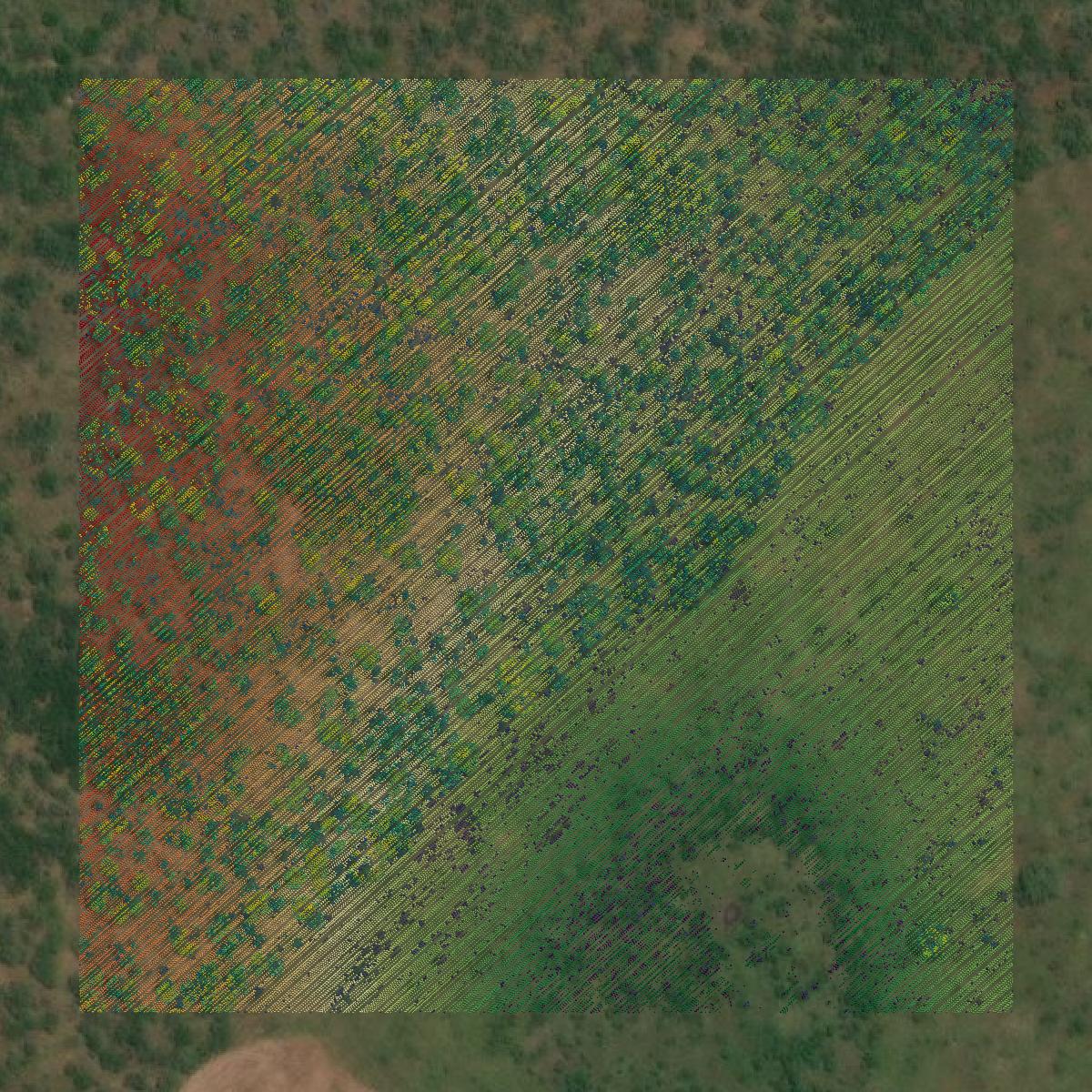 This image shows a LiDAR point cloud in Karnes County created using GIS data in Equator.
