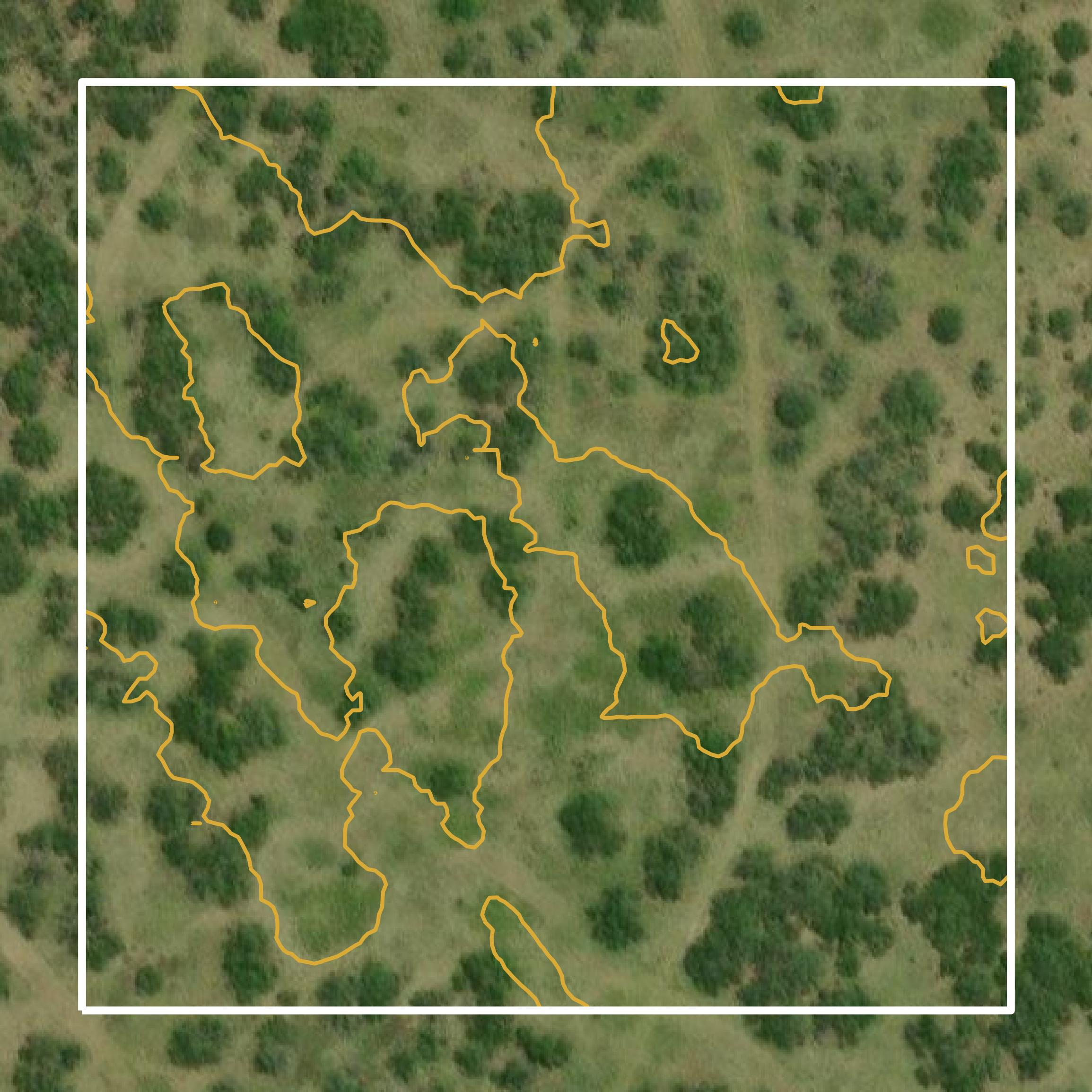 This image shows a contour map in Kenedy County created using GIS data in Equator.