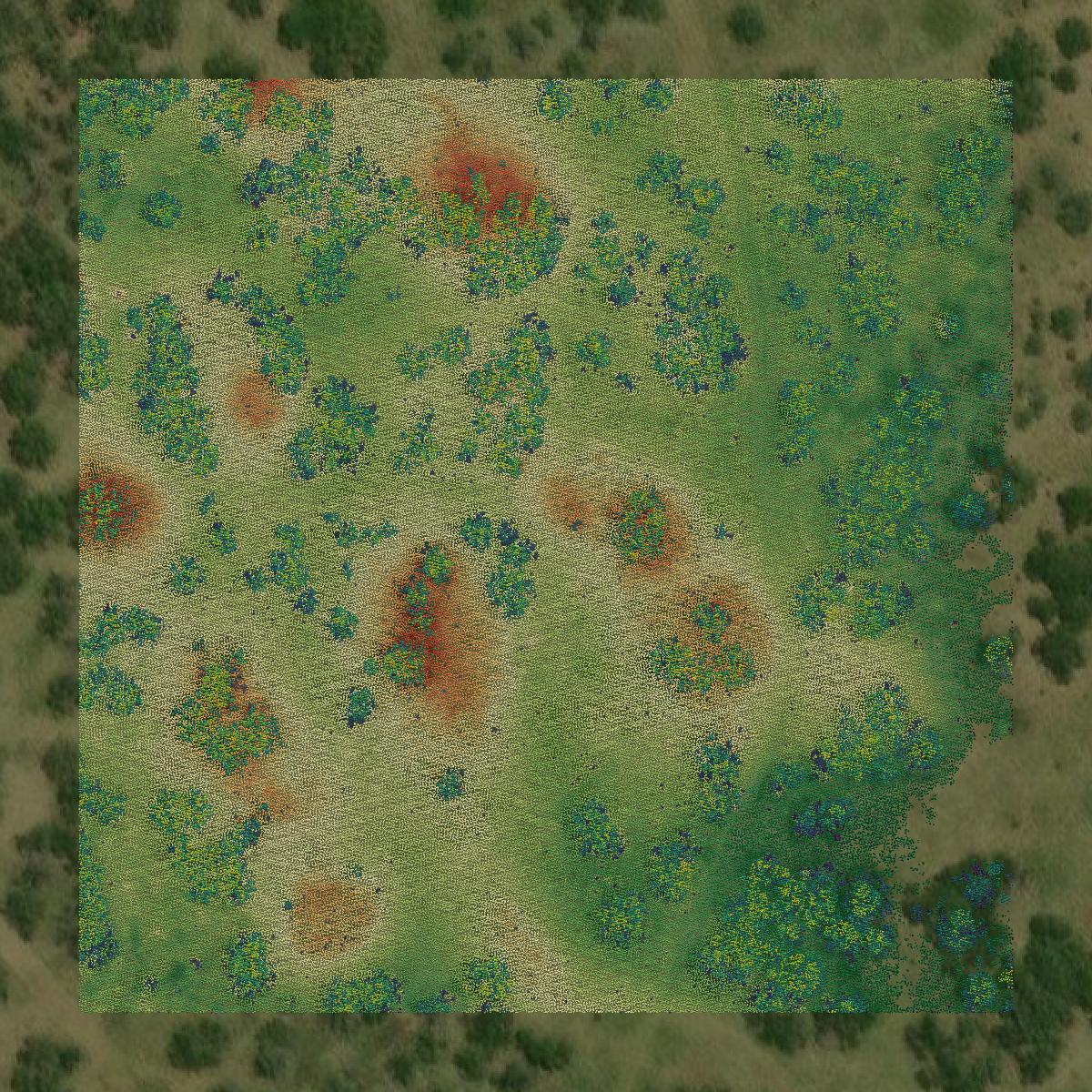 This image shows a LiDAR point cloud in Kenedy County created using GIS data in Equator.