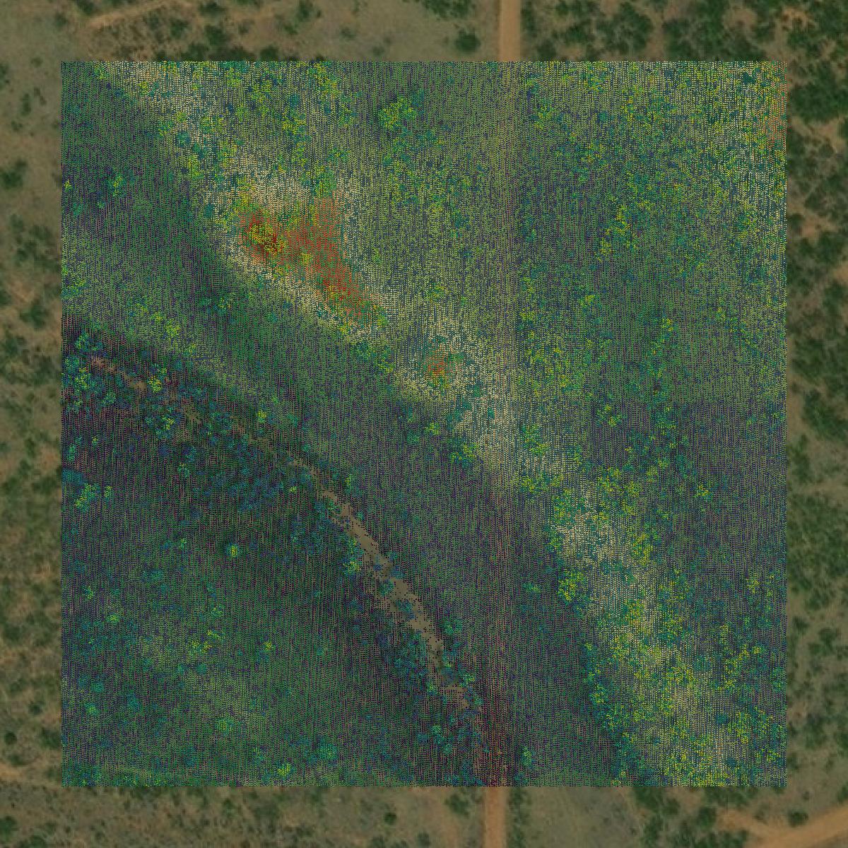 This image shows a LiDAR point cloud in Kent County created using GIS data in Equator.
