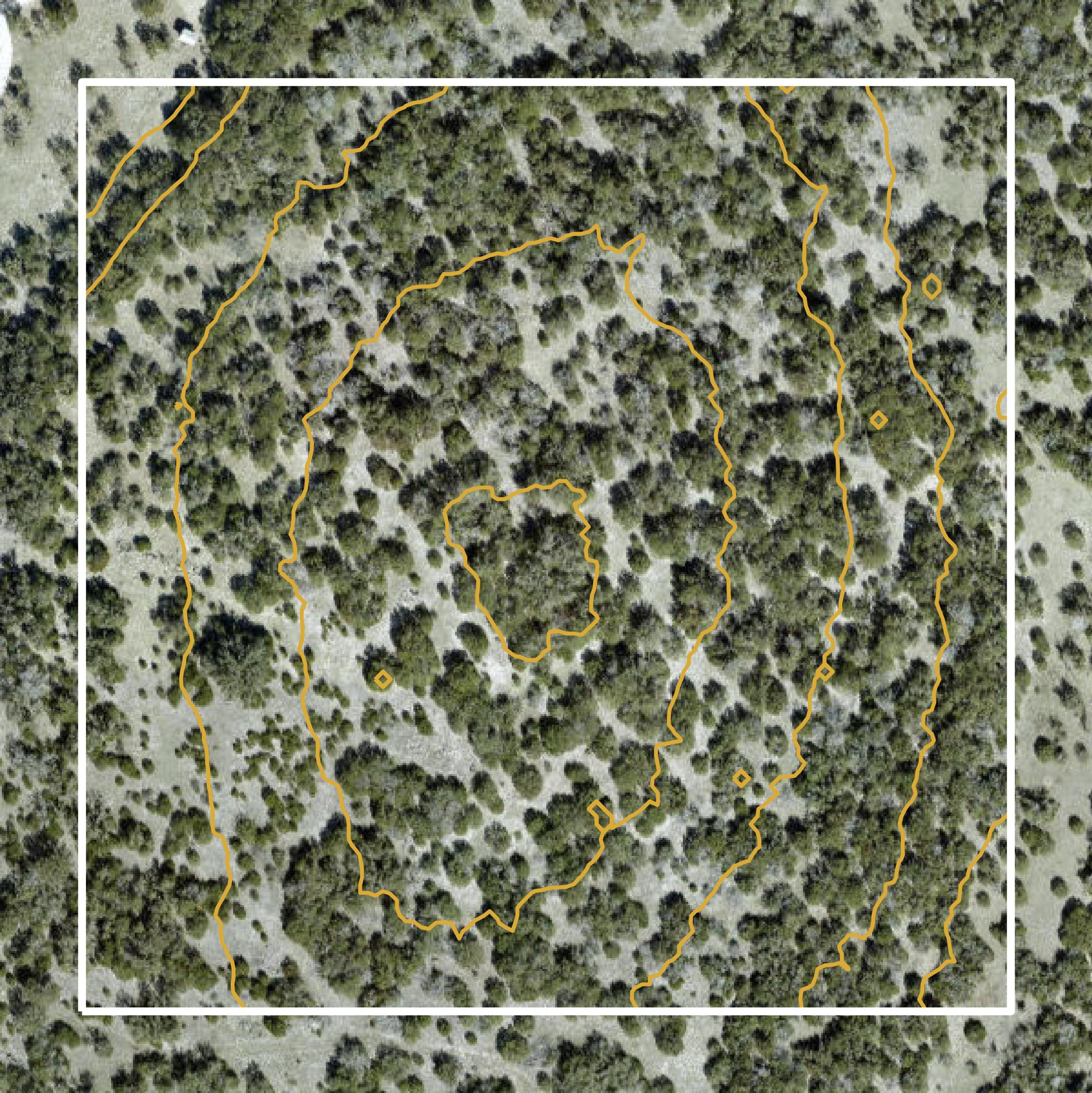 This image shows a contour map in Kerr County created using GIS data in Equator.
