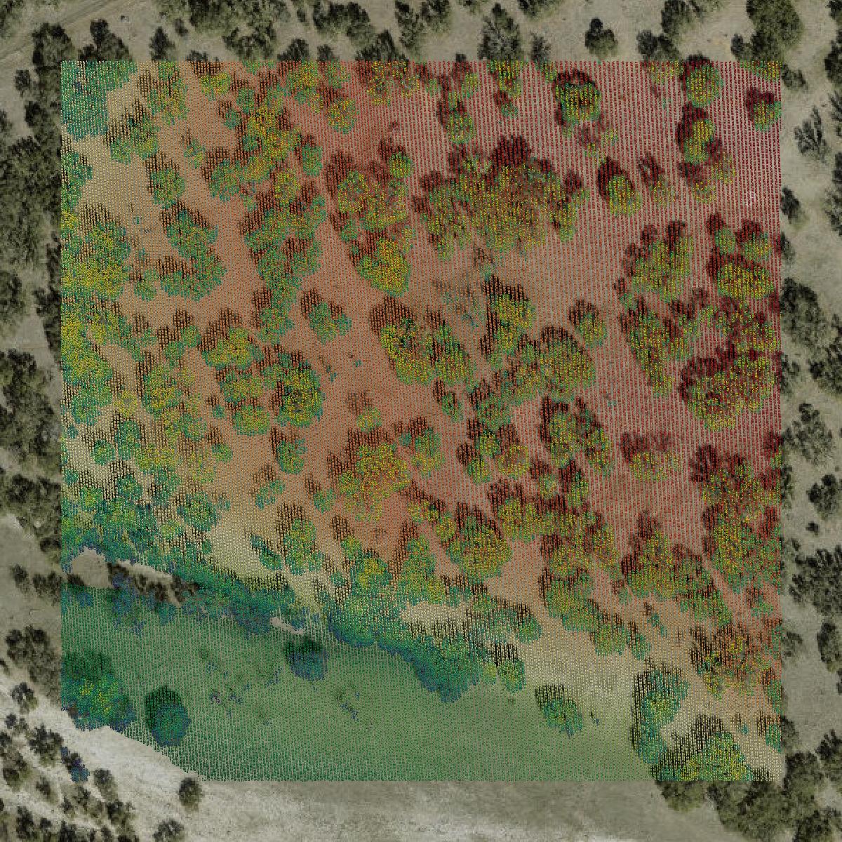 This image shows a LiDAR point cloud in Kerr County created using GIS data in Equator.
