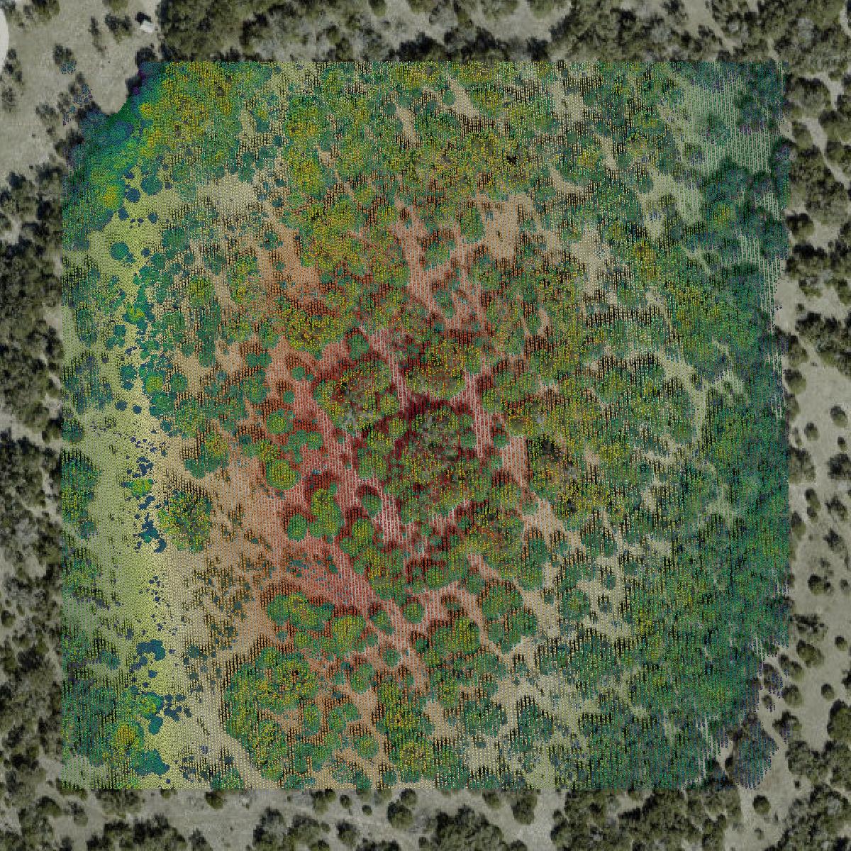 This image shows a LiDAR point cloud in Kerr County created using GIS data in Equator.