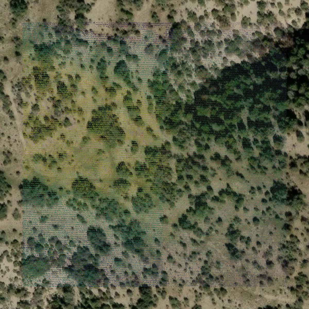This image shows a LiDAR point cloud in Kimble County created using GIS data in Equator.