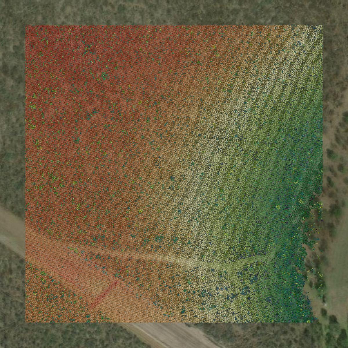 This image shows a LiDAR point cloud in Kinney County created using GIS data in Equator.