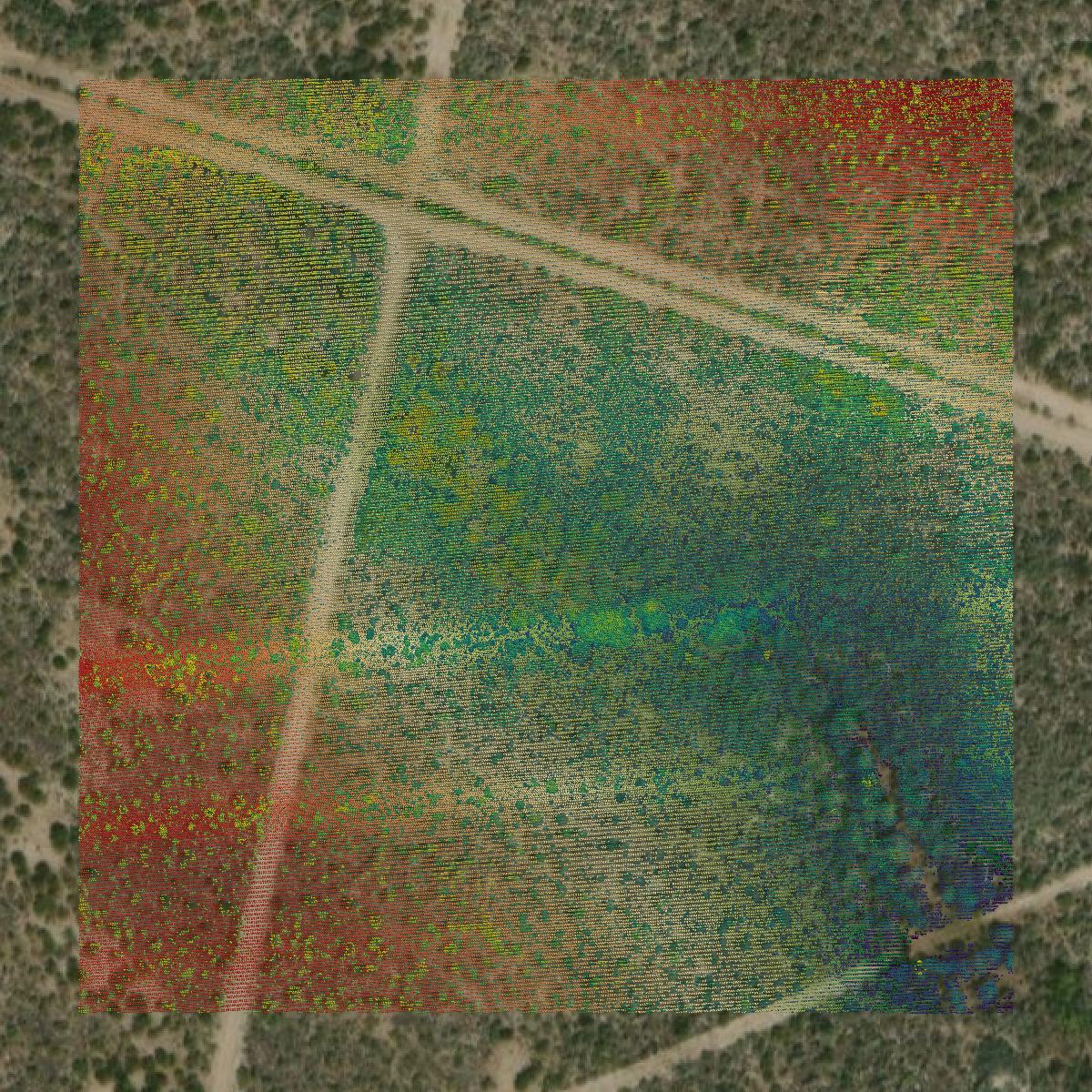 This image shows a LiDAR point cloud in Kinney County created using GIS data in Equator.