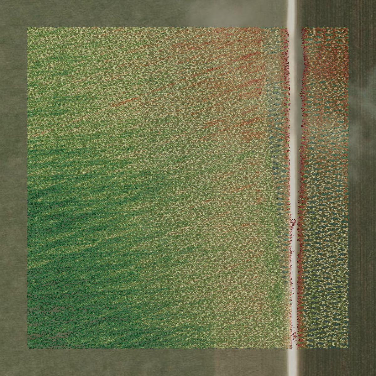 This image shows a LiDAR point cloud in Kleberg County created using GIS data in Equator.