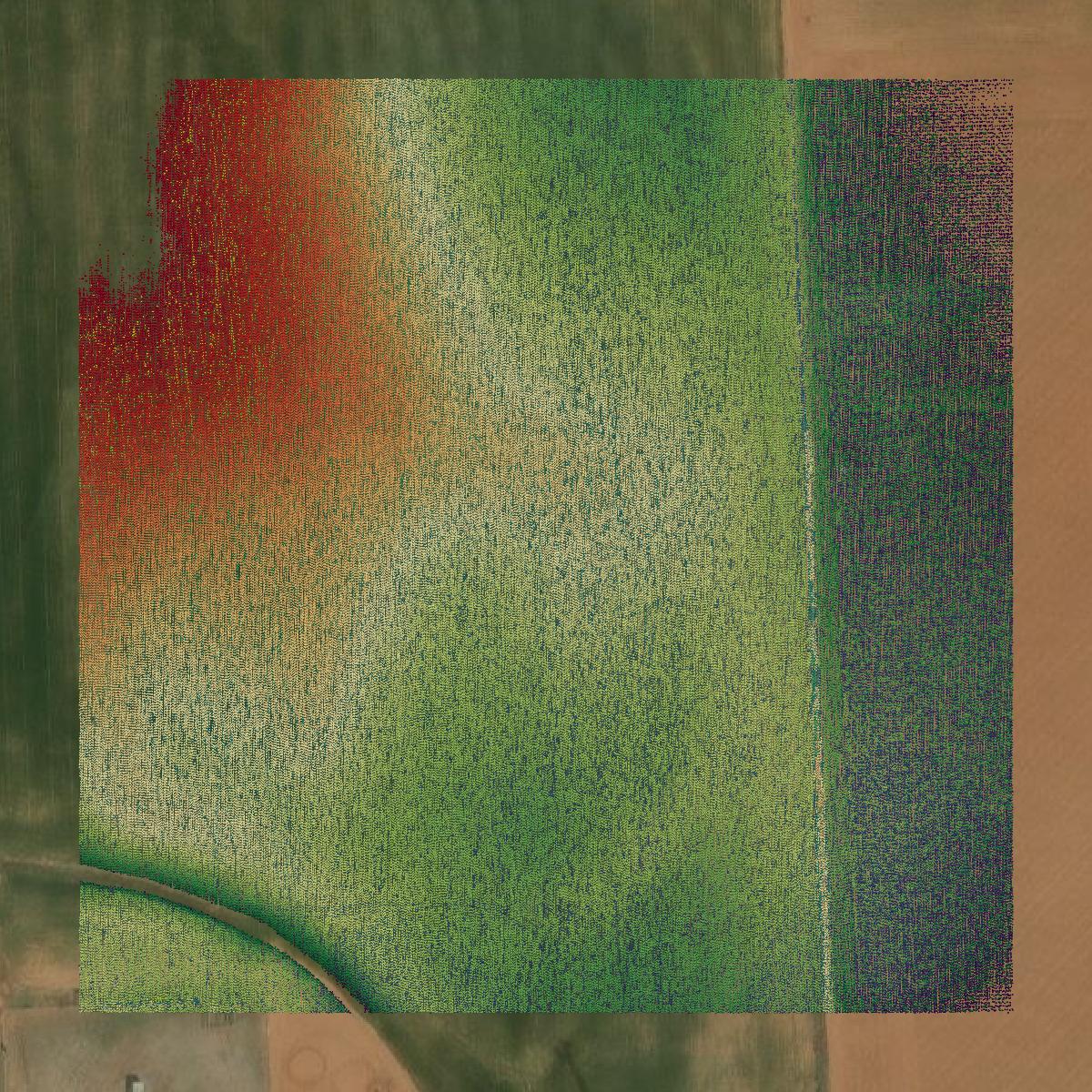 This image shows a LiDAR point cloud in Knox County created using GIS data in Equator.