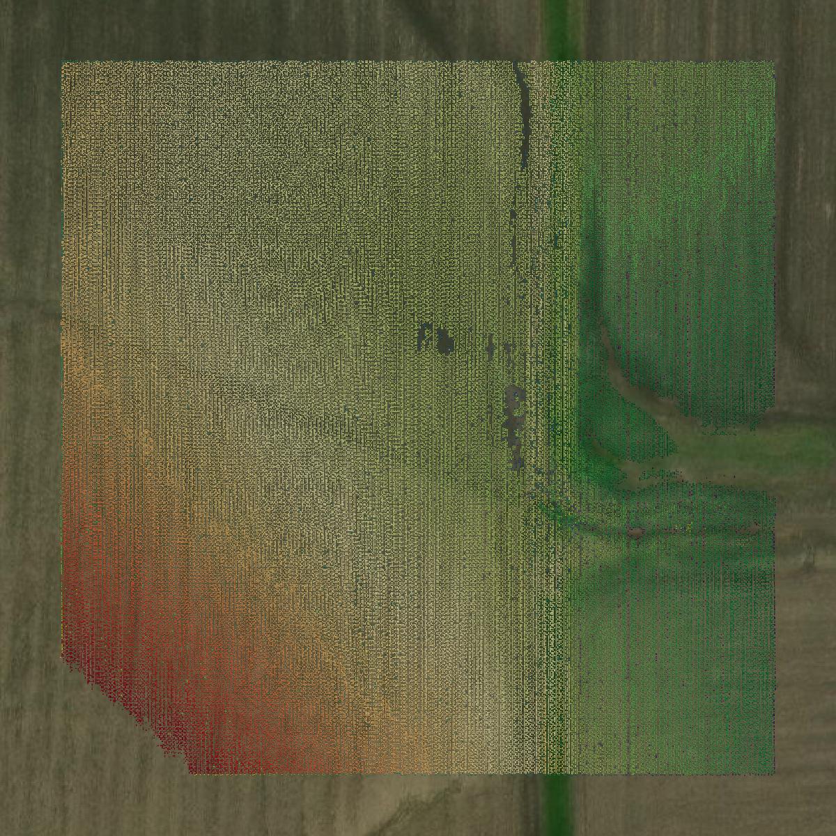 This image shows a LiDAR point cloud in Lamar County created using GIS data in Equator.