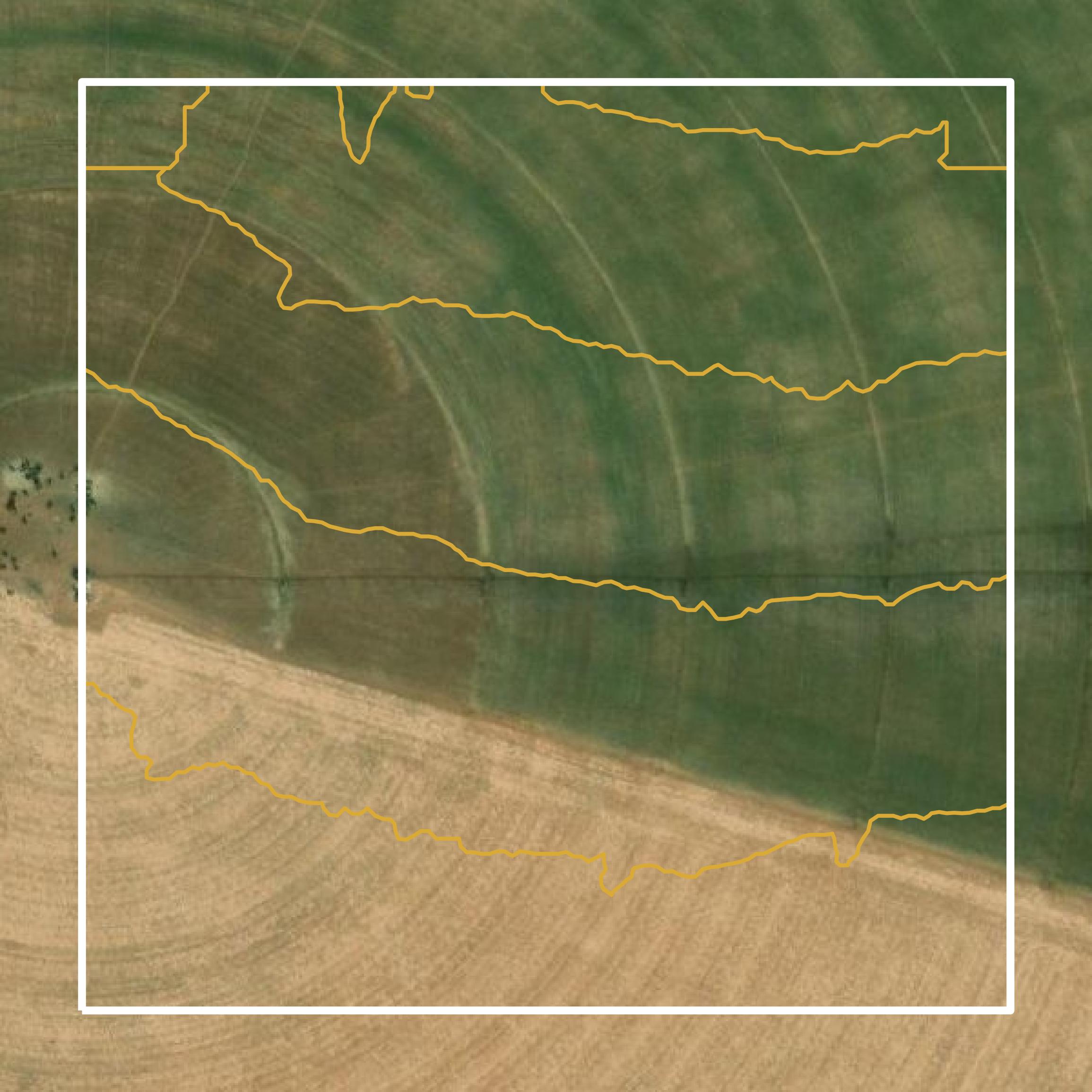 This image shows a contour map in Lamb County created using GIS data in Equator.