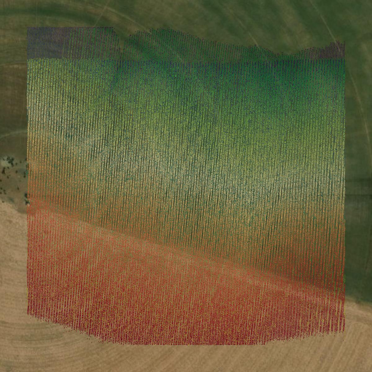 This image shows a LiDAR point cloud in Lamb County created using GIS data in Equator.
