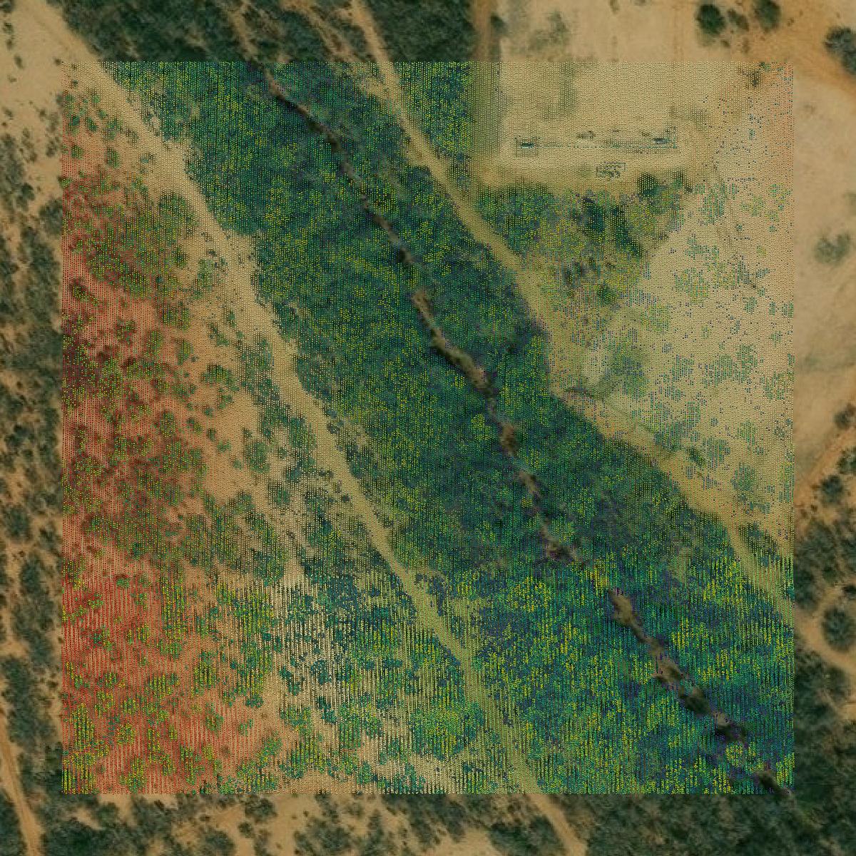 This image shows a LiDAR point cloud in La Salle County created using GIS data in Equator.