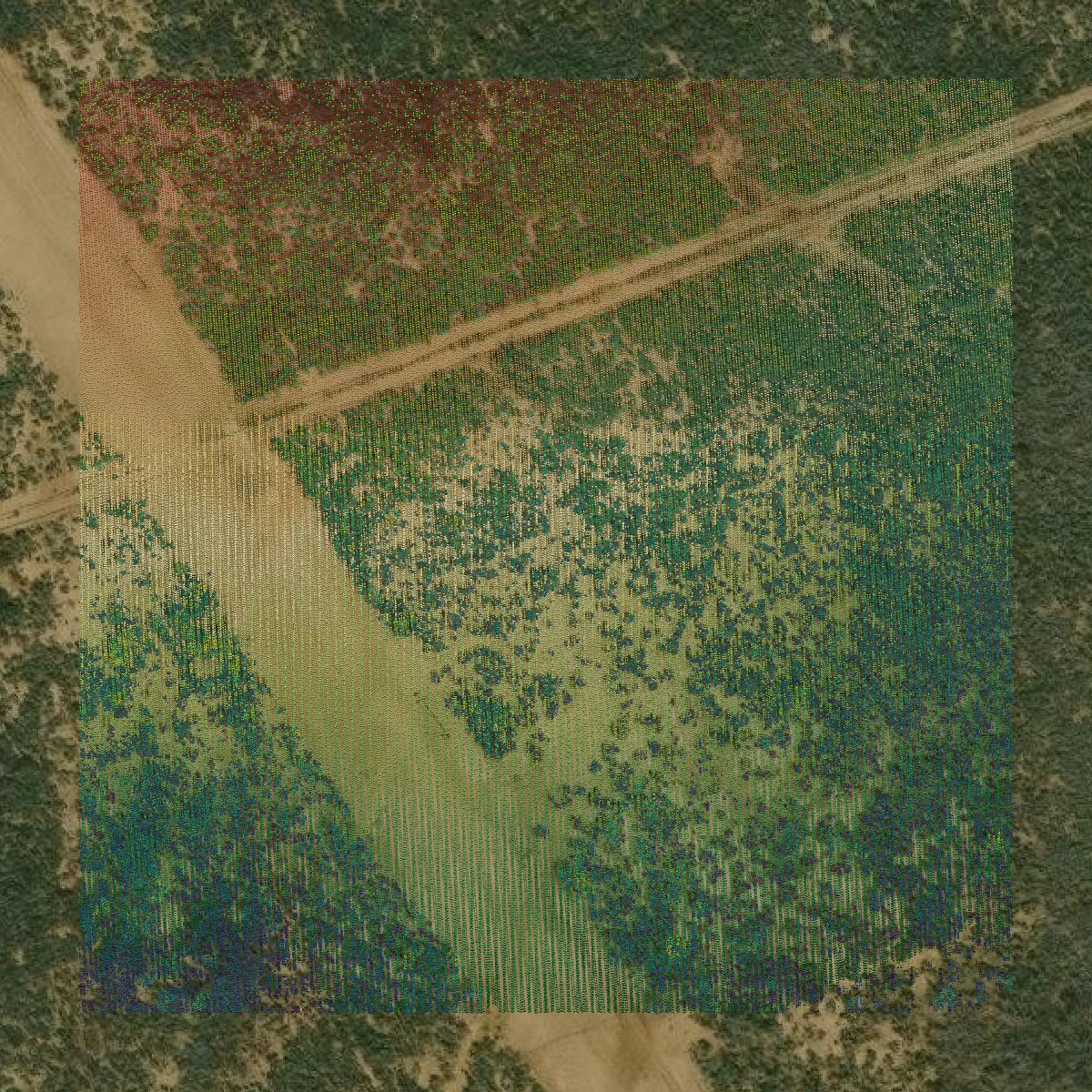 This image shows a LiDAR point cloud in La Salle County created using GIS data in Equator.