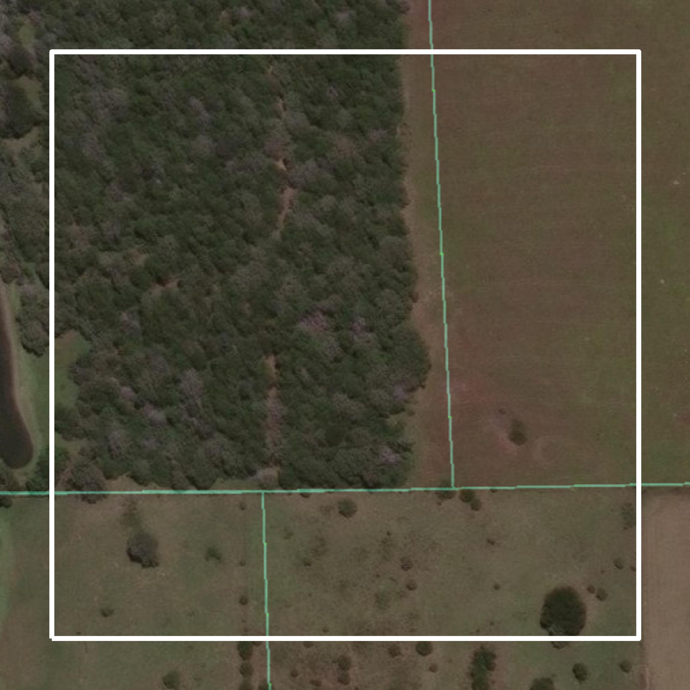 This image shows parcel and building data in Lavaca County created using GIS data in Equator.