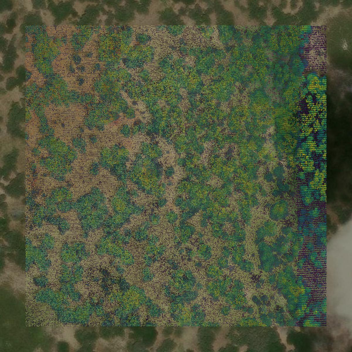 This image shows a LiDAR point cloud in Lavaca County created using GIS data in Equator.