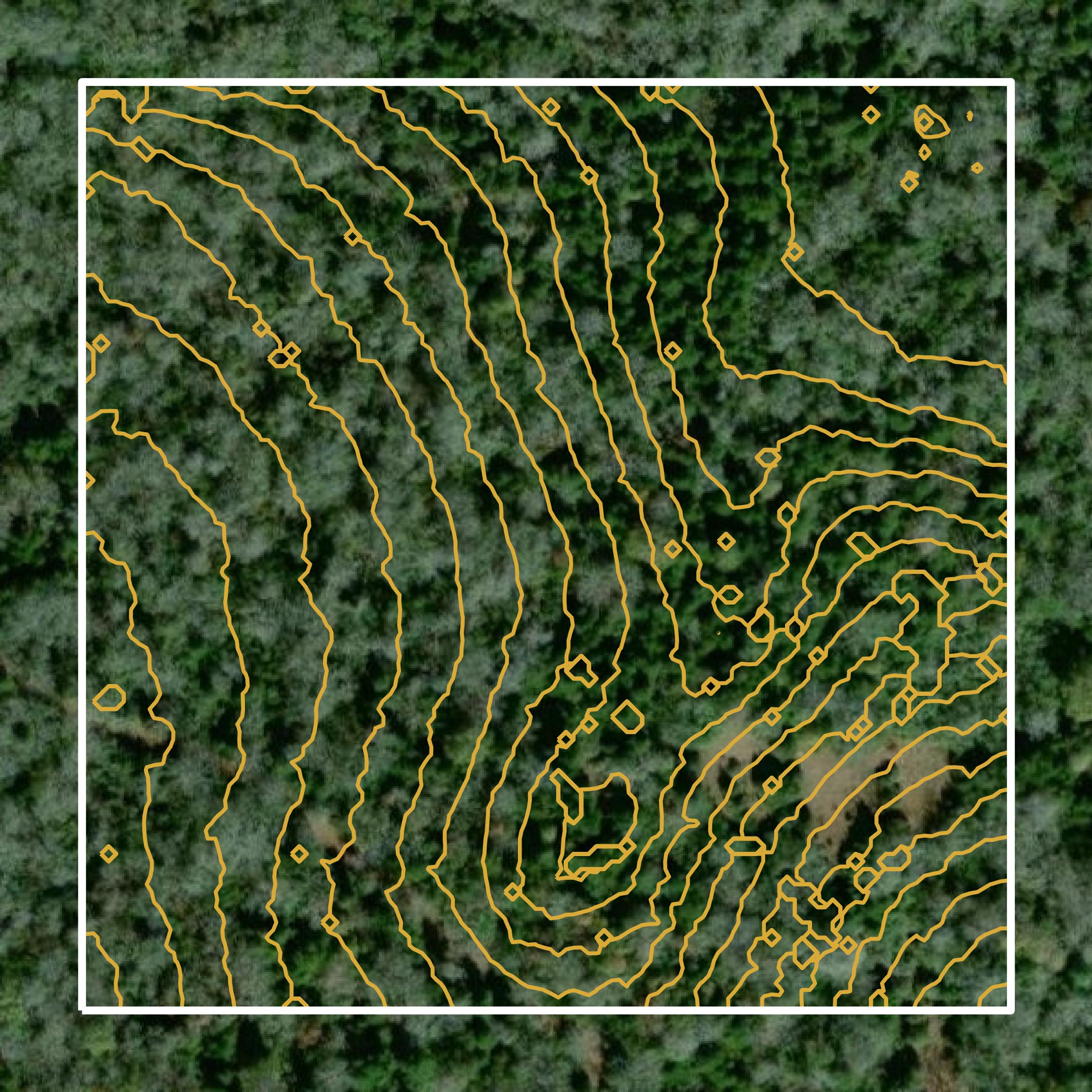 This image shows a contour map in Leon County created using GIS data in Equator.