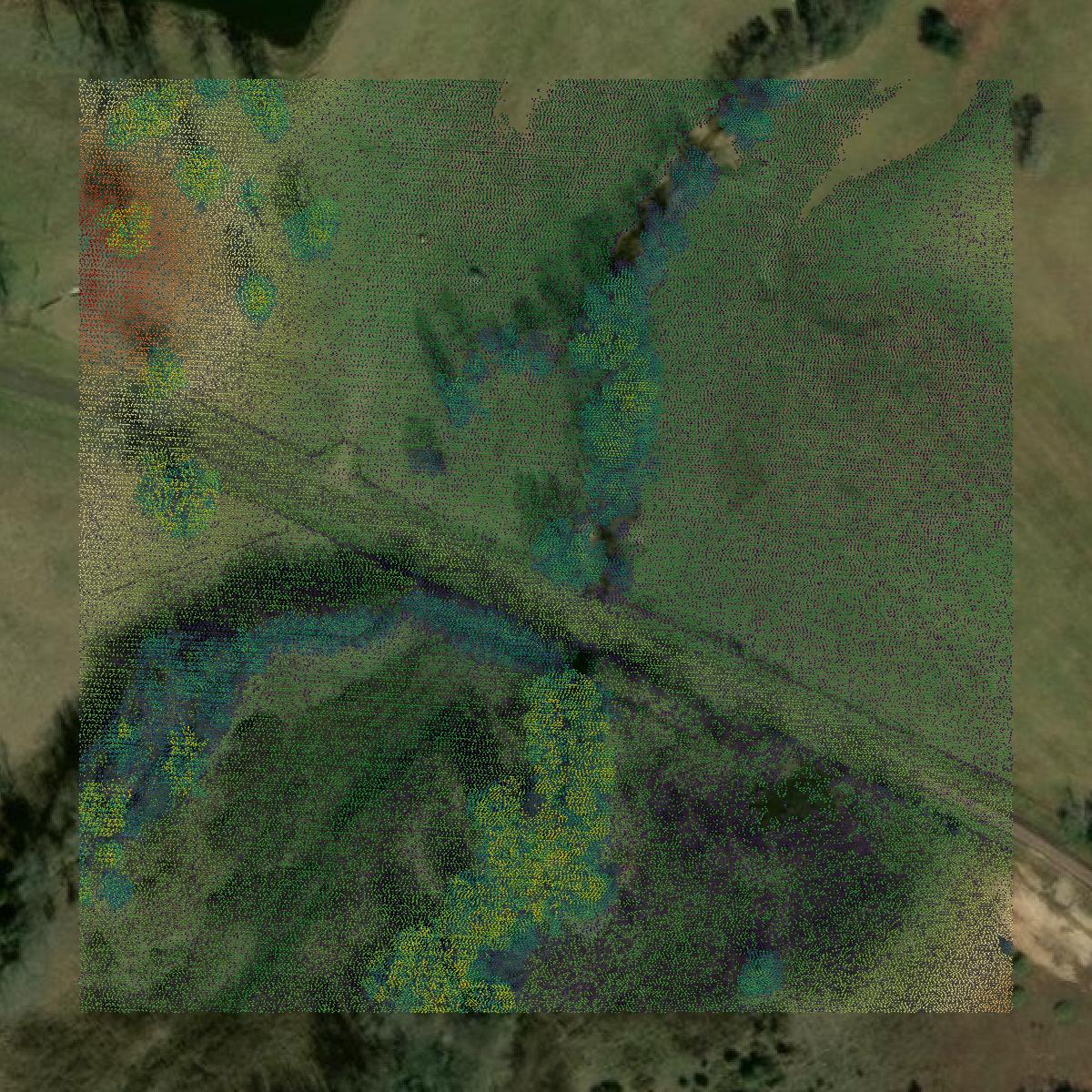 This image shows a LiDAR point cloud in Leon County created using GIS data in Equator.