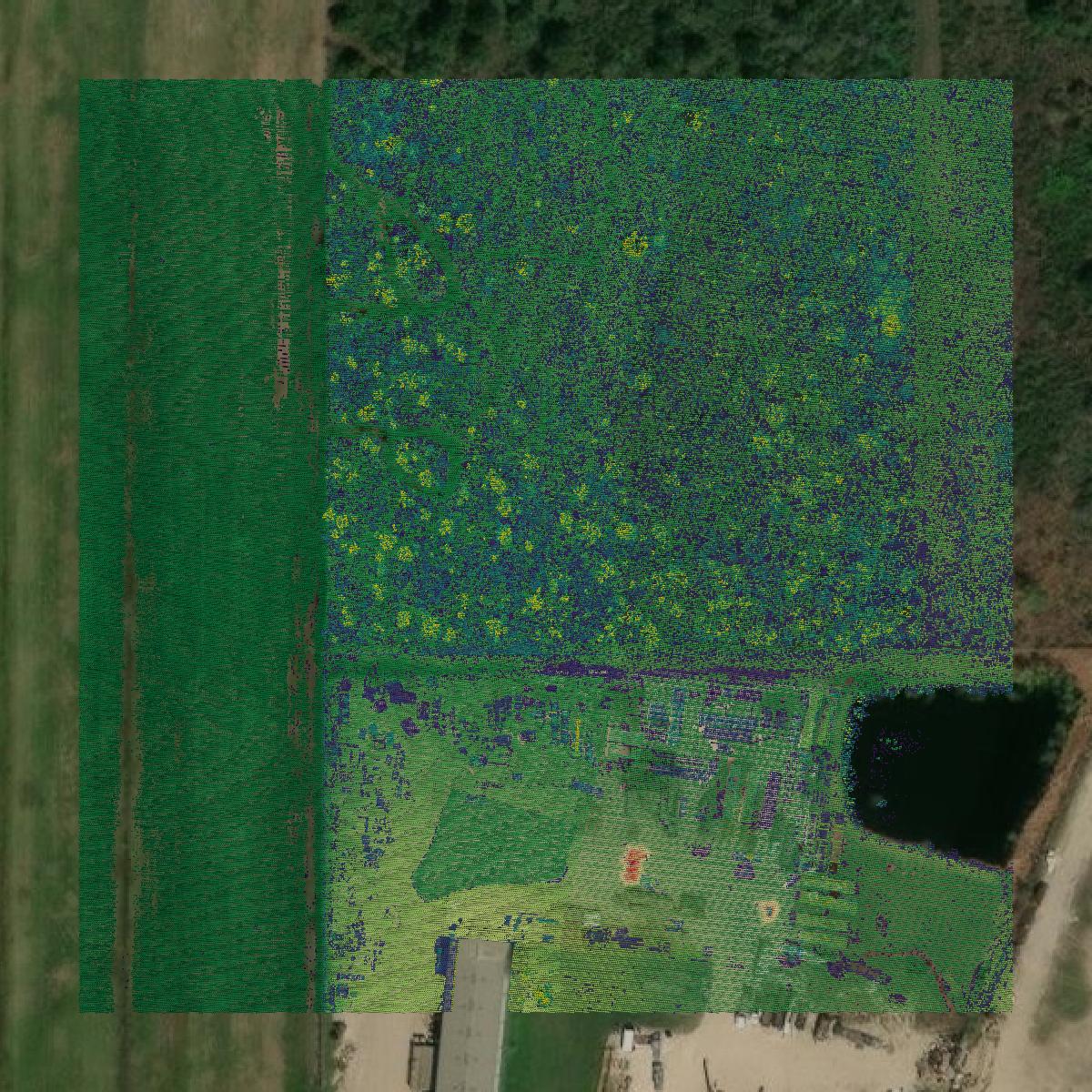 This image shows a LiDAR point cloud in Liberty County created using GIS data in Equator.