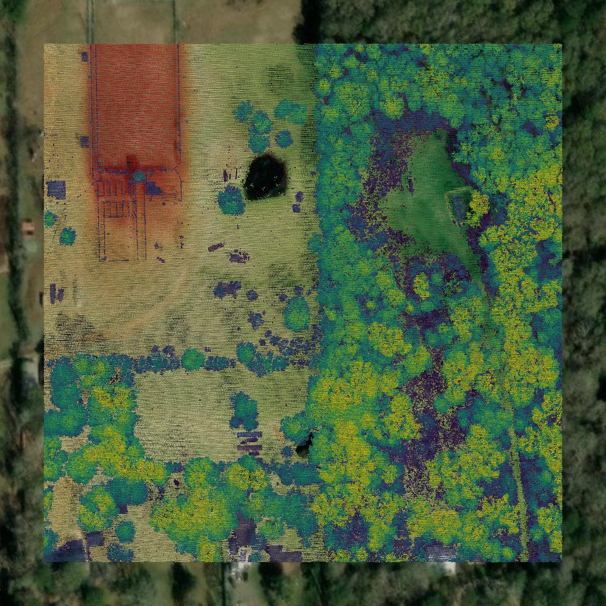 This image shows a LiDAR point cloud in Liberty County created using GIS data in Equator.