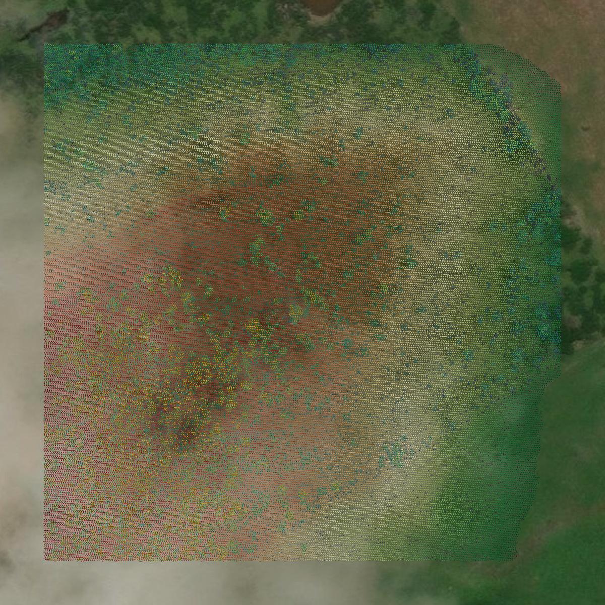 This image shows a LiDAR point cloud in Limestone County created using GIS data in Equator.