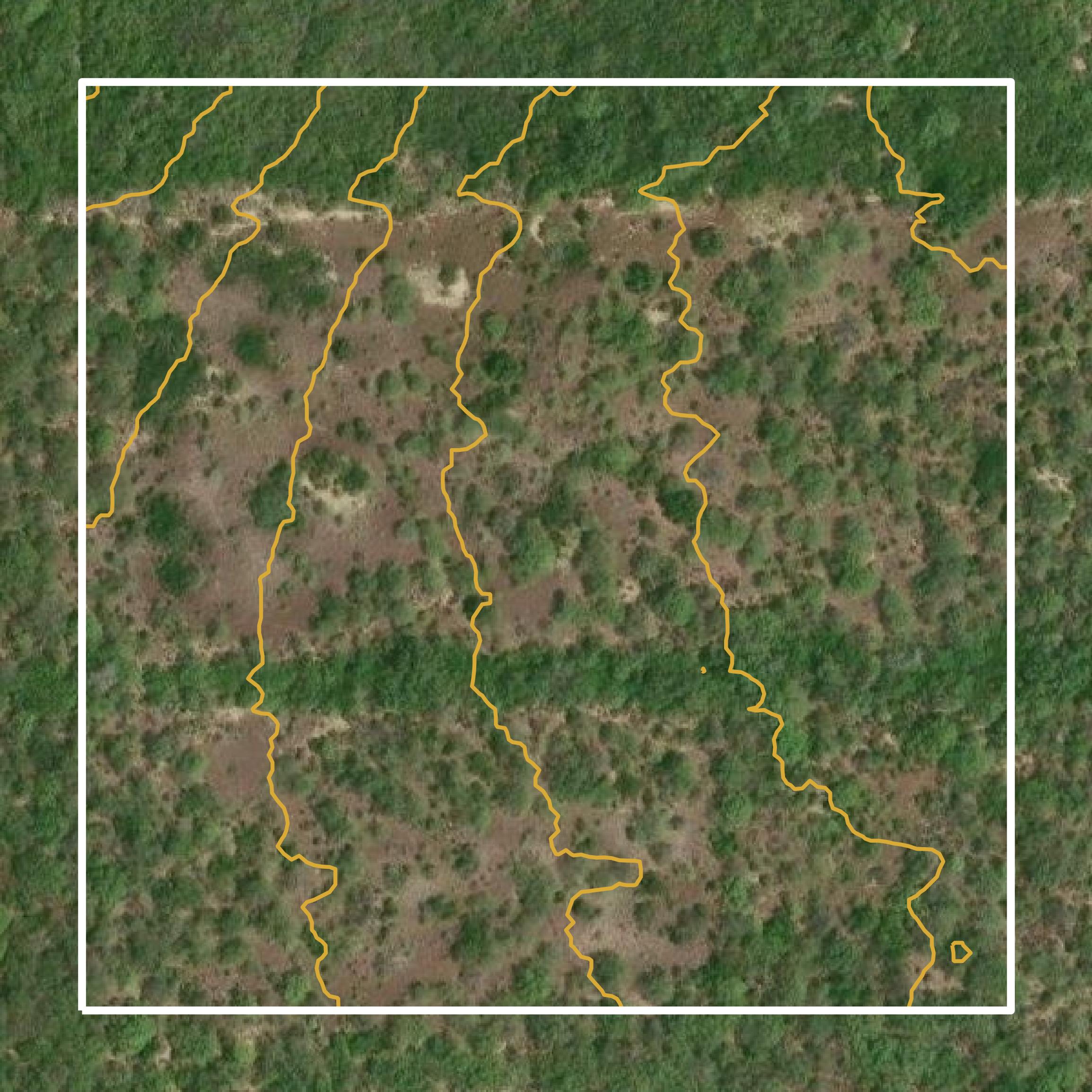 This image shows a contour map in Live Oak County created using GIS data in Equator.