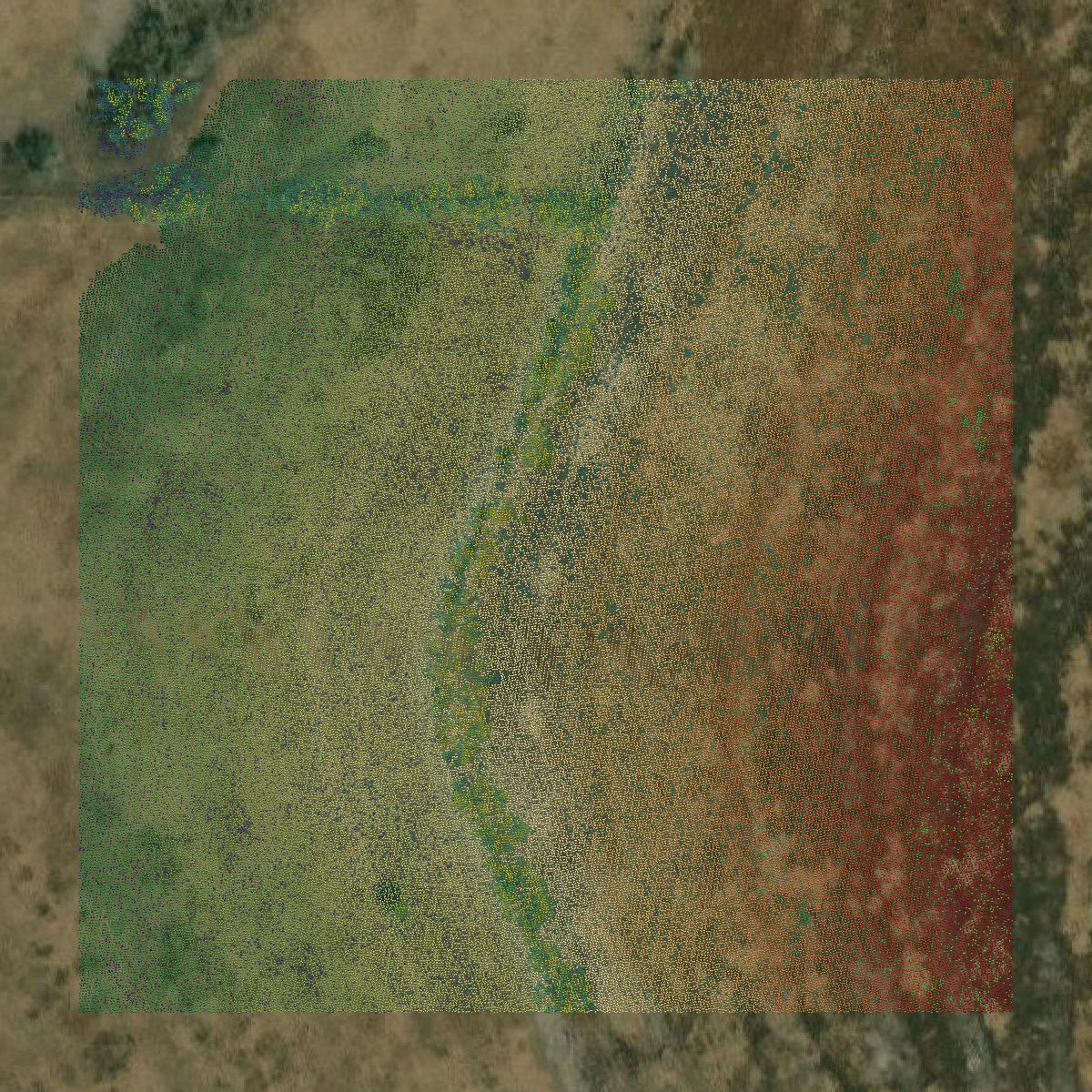 This image shows a LiDAR point cloud in Live Oak County created using GIS data in Equator.
