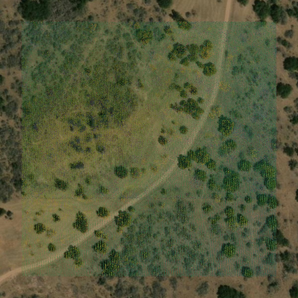 This image shows a LiDAR point cloud in Llano County created using GIS data in Equator.