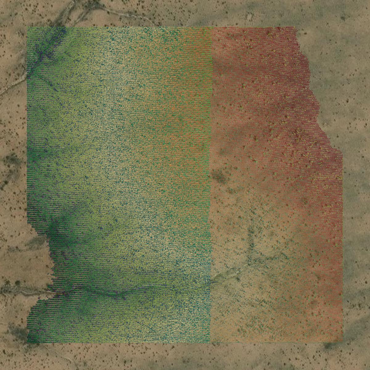 This image shows a LiDAR point cloud in Loving County created using GIS data in Equator.