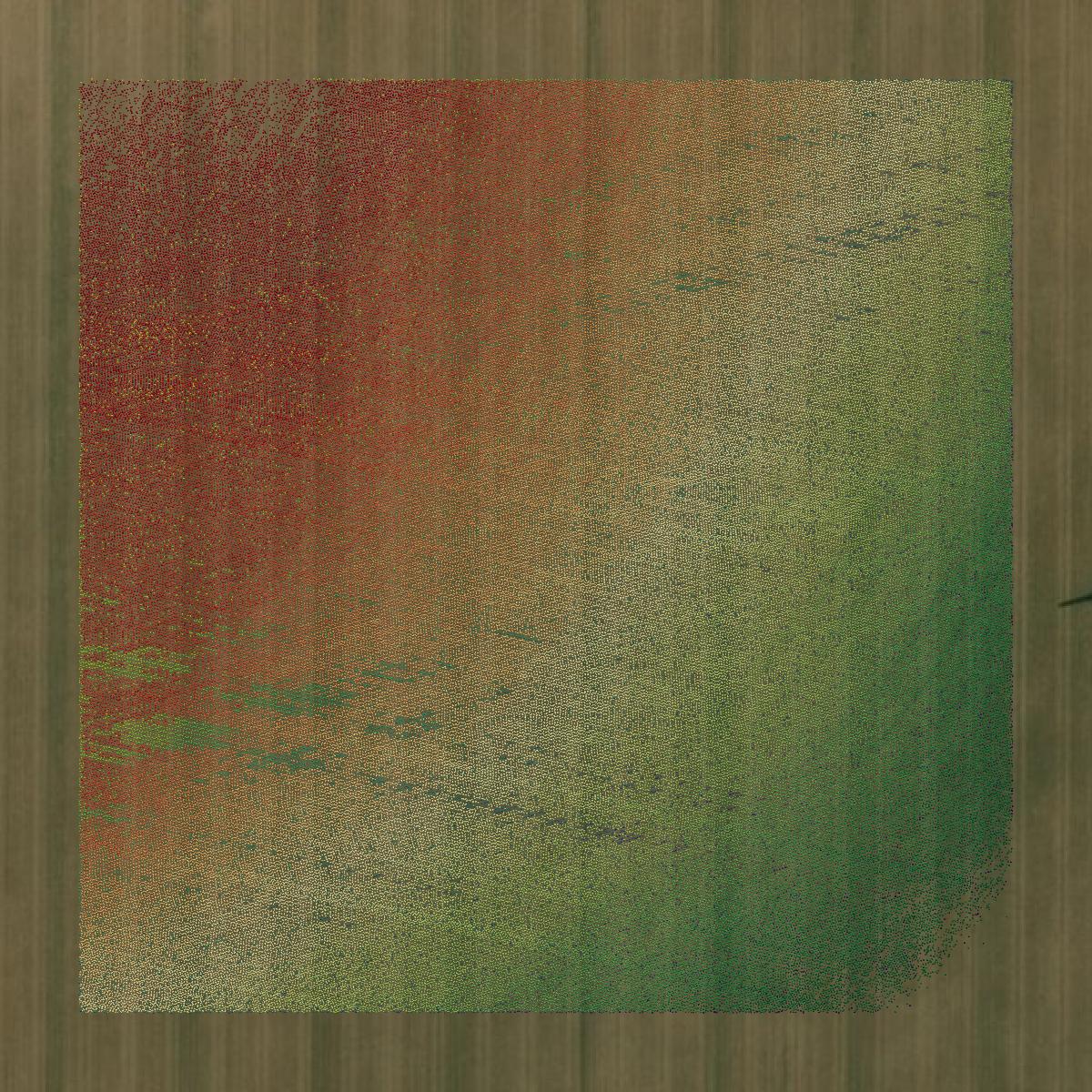 This image shows a LiDAR point cloud in Lynn County created using GIS data in Equator.