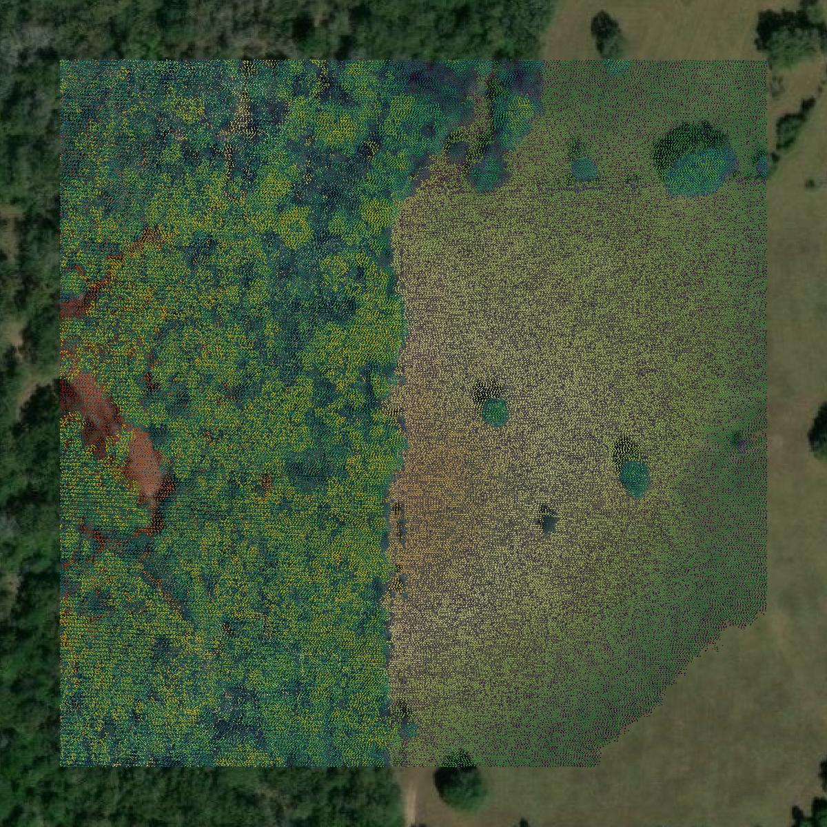 This image shows a LiDAR point cloud in Madison County created using GIS data in Equator.