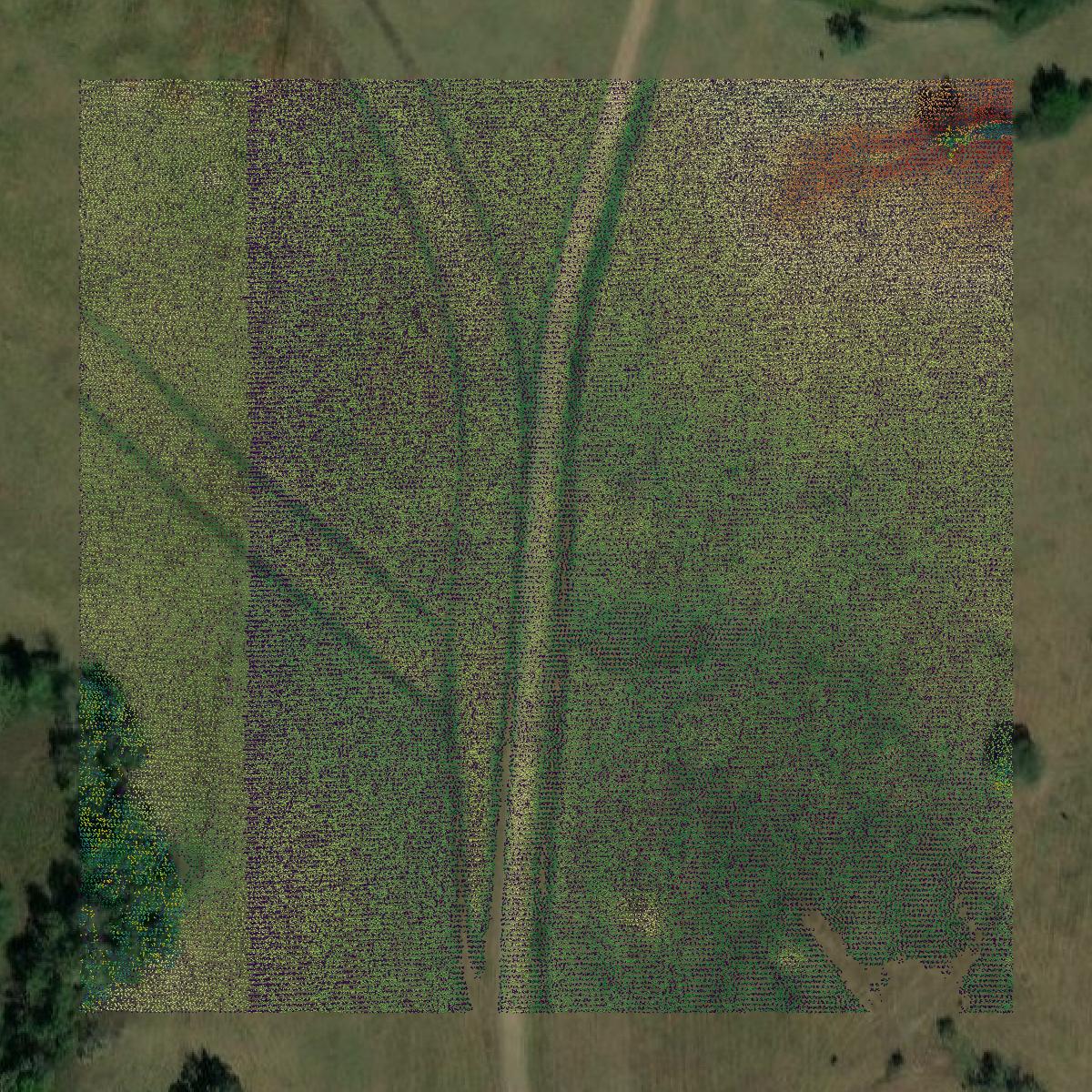 This image shows a LiDAR point cloud in Madison County created using GIS data in Equator.