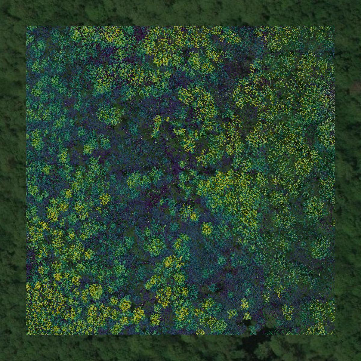 This image shows a LiDAR point cloud in Marion County created using GIS data in Equator.