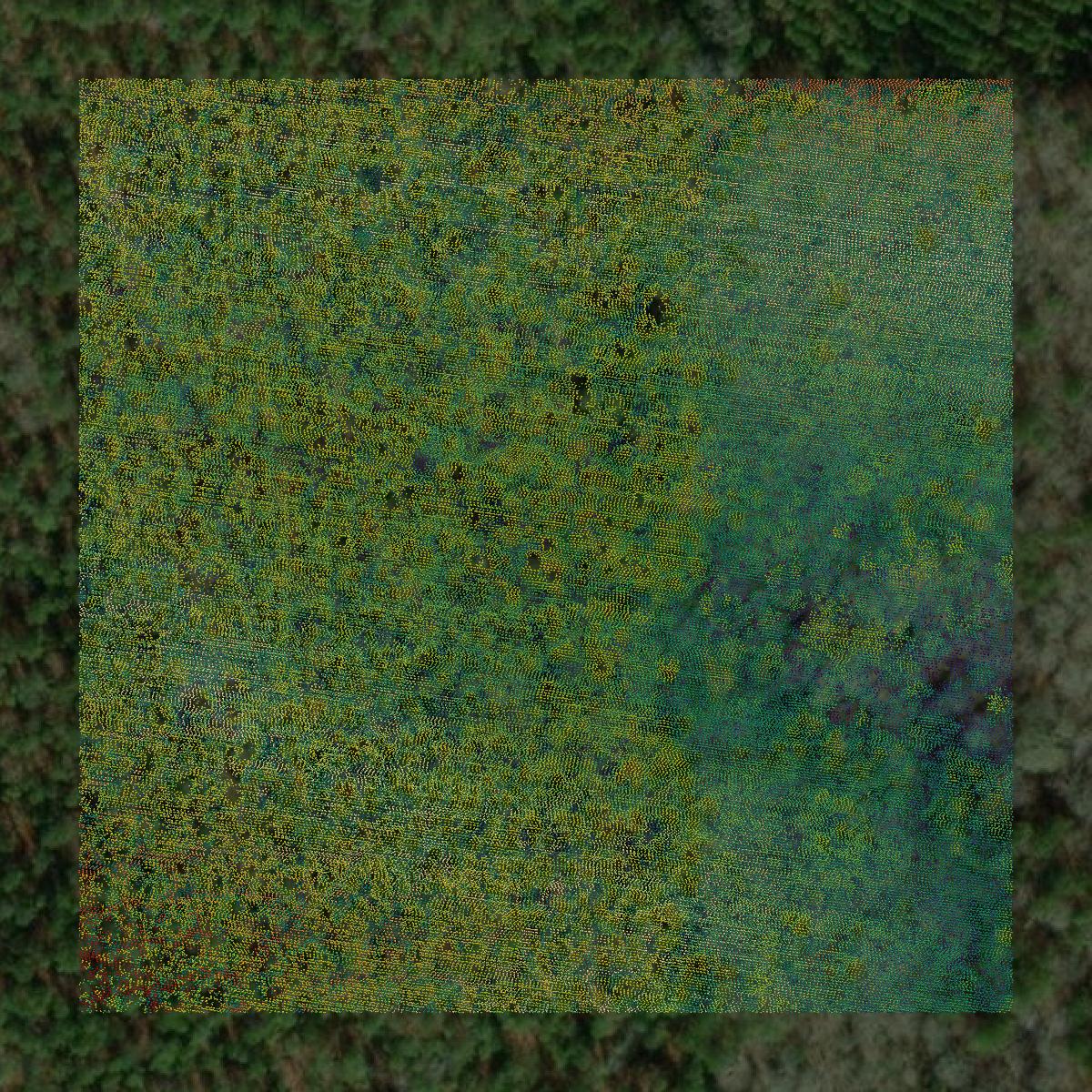 This image shows a LiDAR point cloud in Marion County created using GIS data in Equator.