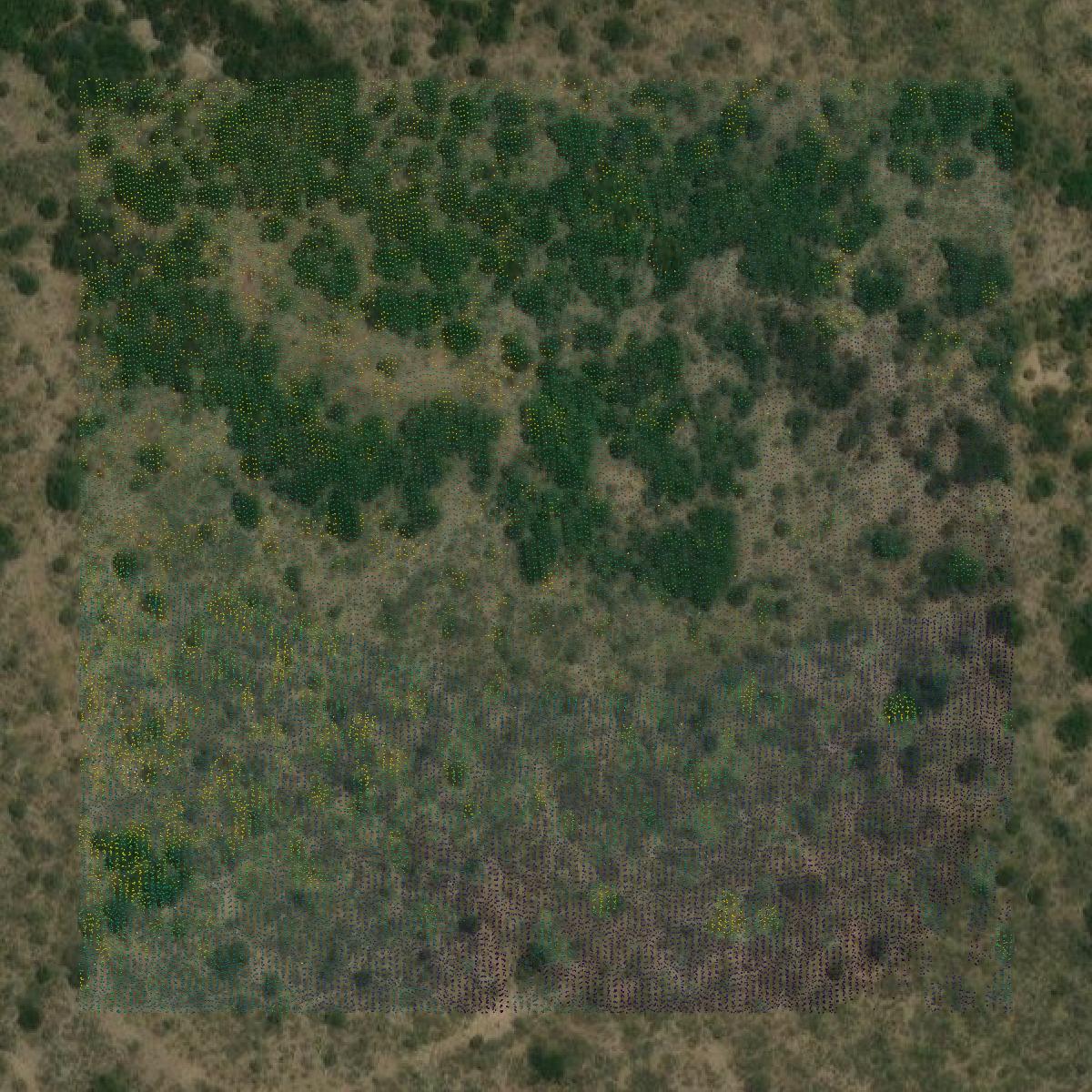 This image shows a LiDAR point cloud in Mason County created using GIS data in Equator.