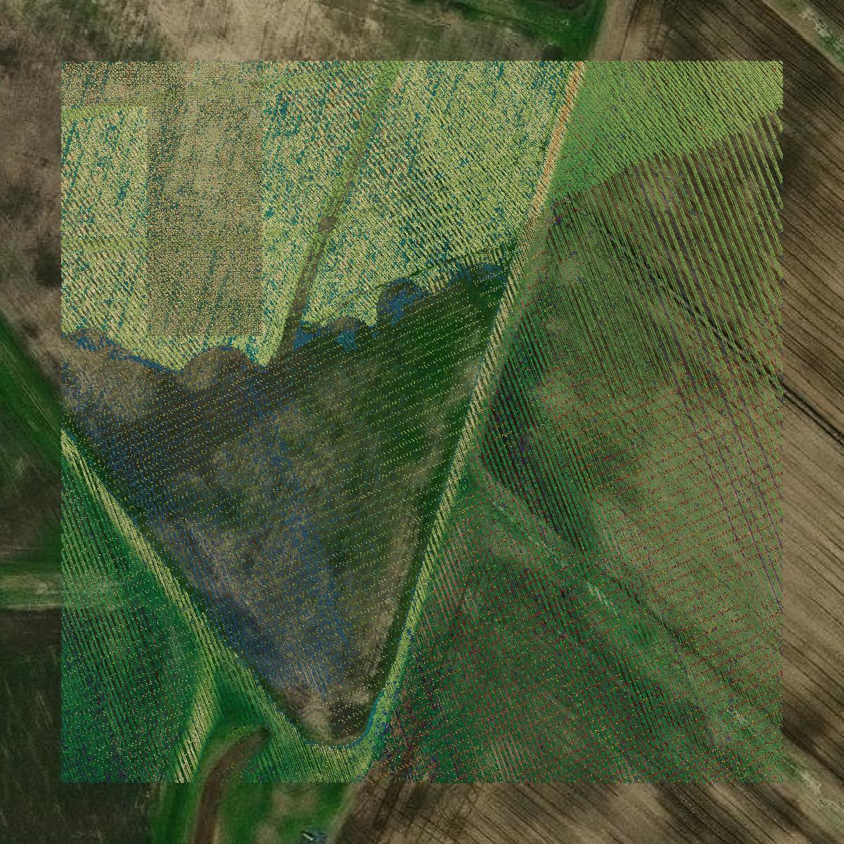 This image shows a LiDAR point cloud in Matagorda County created using GIS data in Equator.