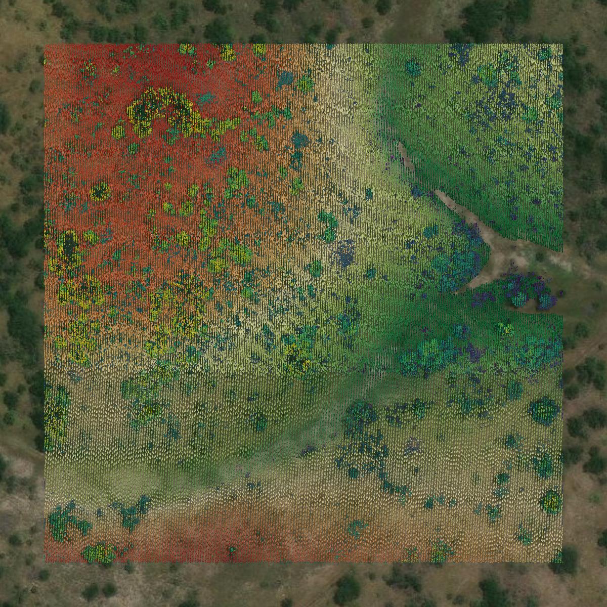 This image shows a LiDAR point cloud in McCulloch County created using GIS data in Equator.