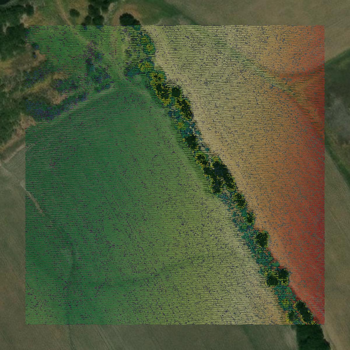 This image shows a LiDAR point cloud in McLennan County created using GIS data in Equator.