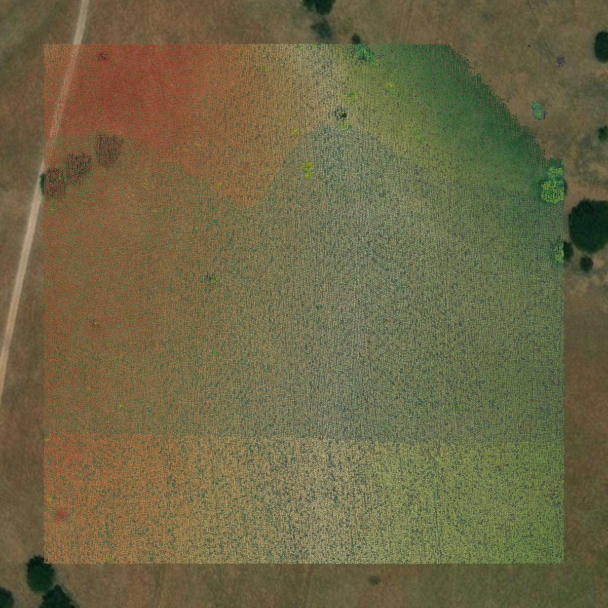 This image shows a LiDAR point cloud in McLennan County created using GIS data in Equator.