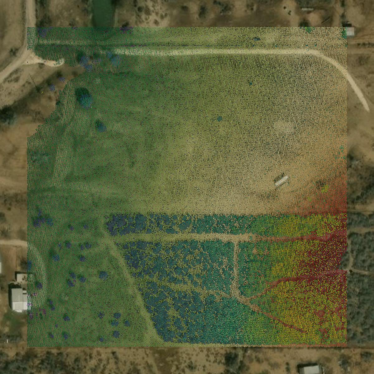 This image shows a LiDAR point cloud in Medina County created using GIS data in Equator.