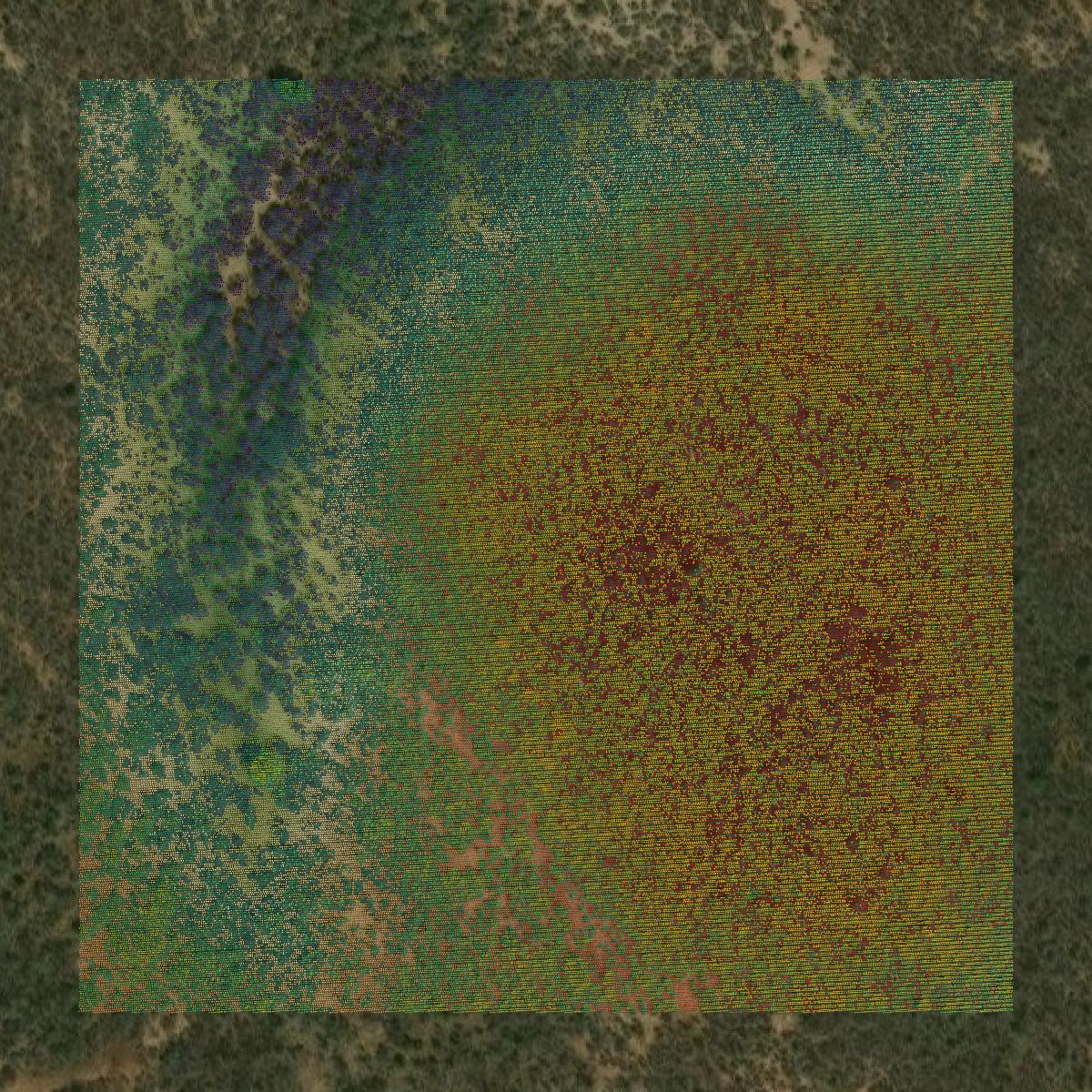This image shows a LiDAR point cloud in Medina County created using GIS data in Equator.