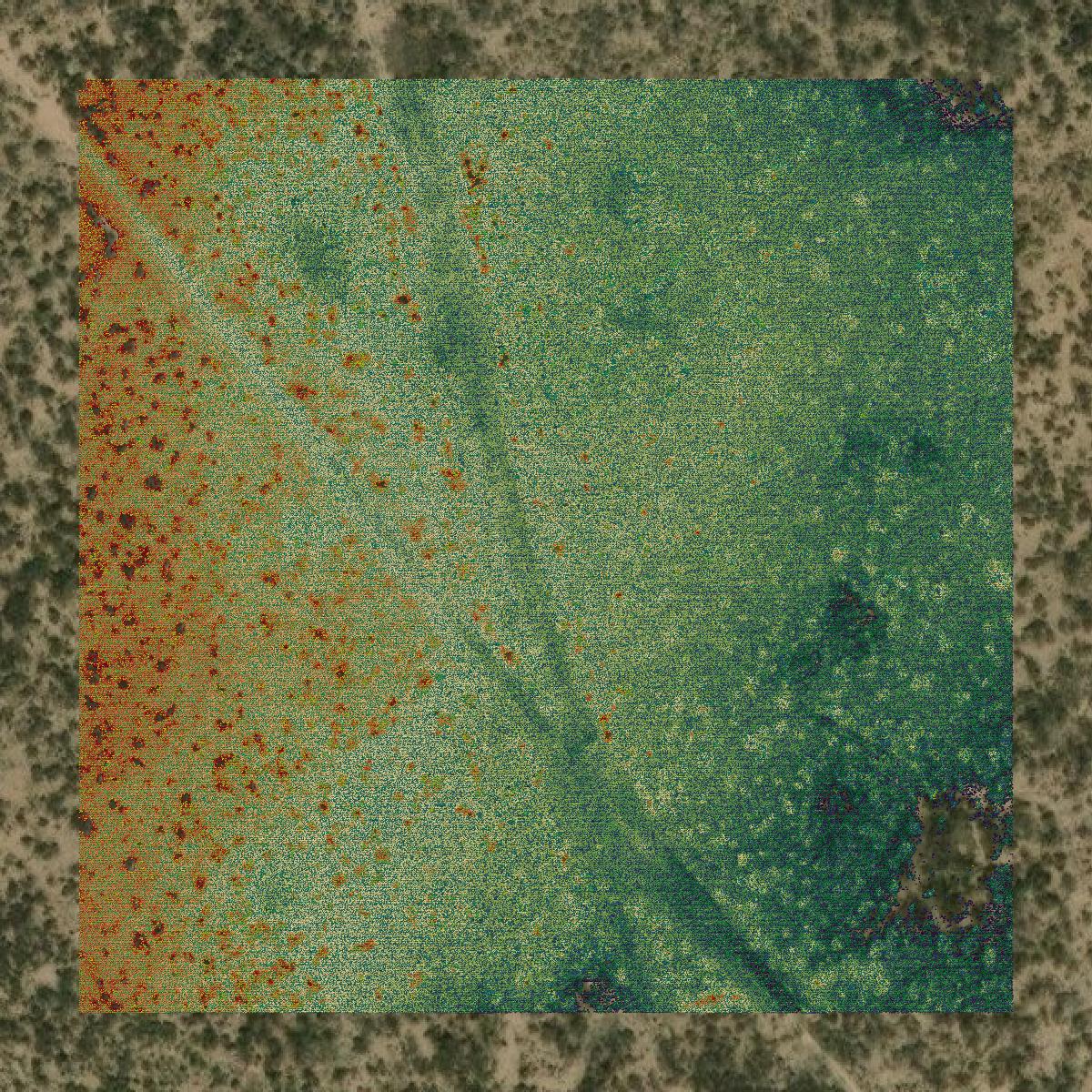 This image shows a LiDAR point cloud in Midland County created using GIS data in Equator.