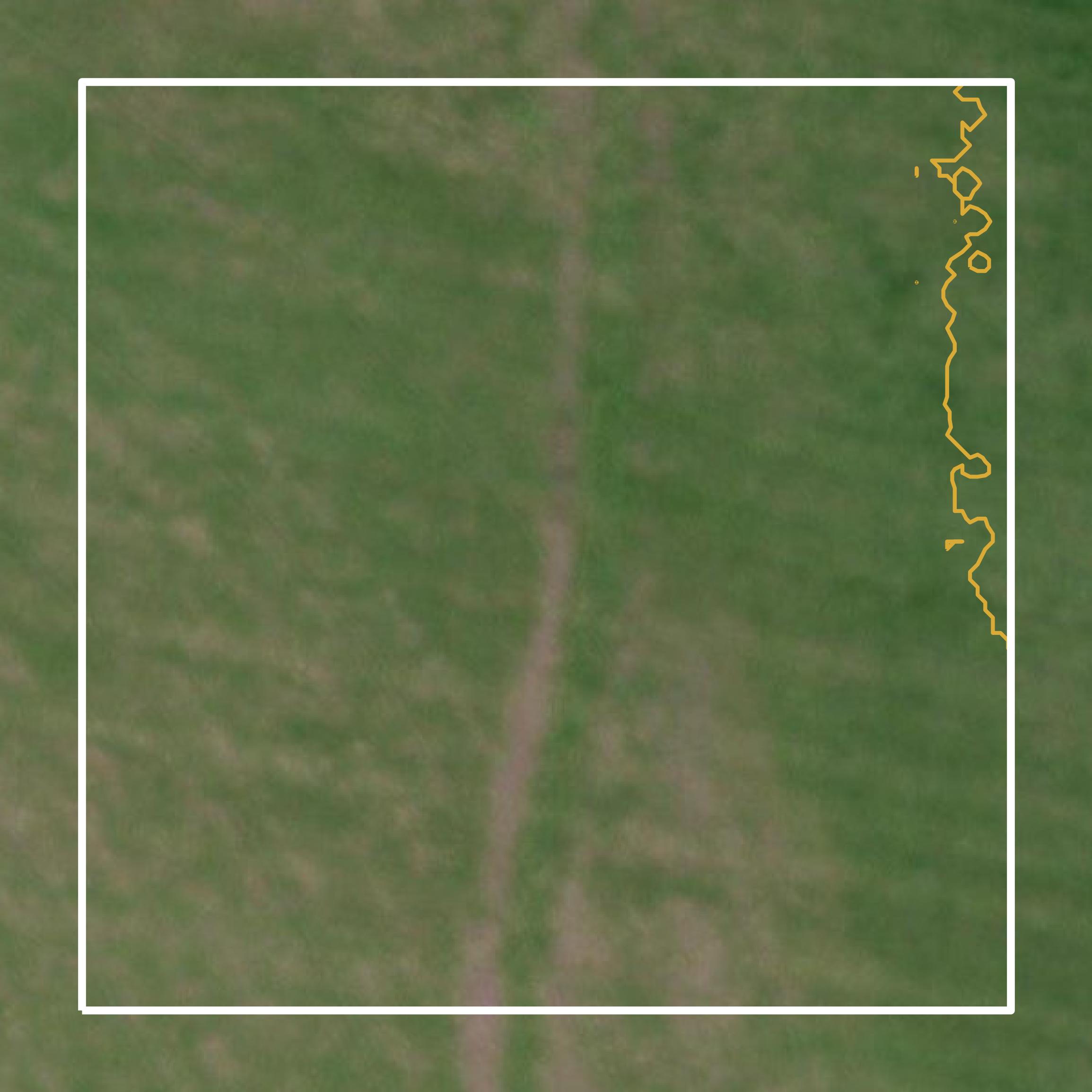 This image shows a contour map in Milam County created using GIS data in Equator.
