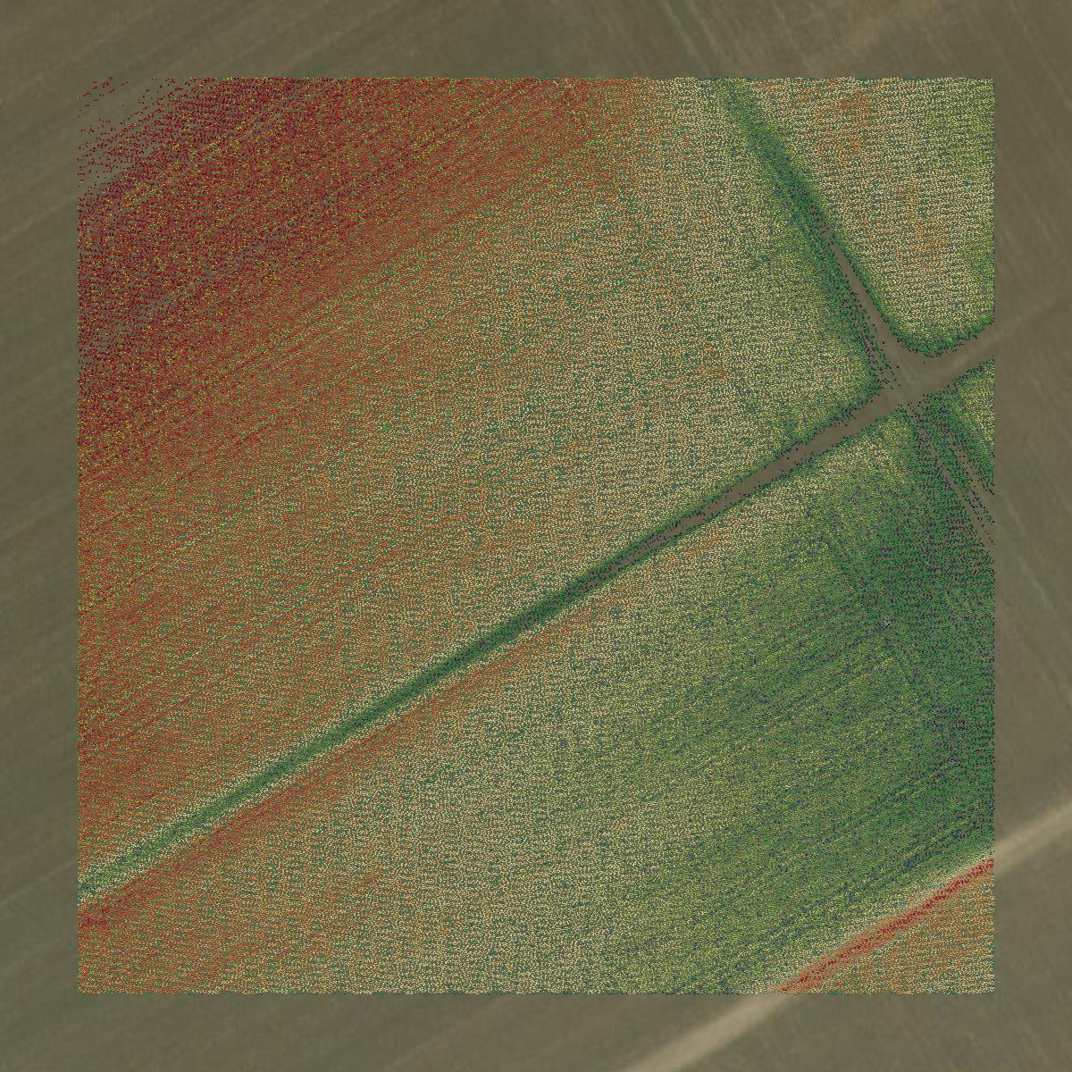 This image shows a LiDAR point cloud in Milam County created using GIS data in Equator.