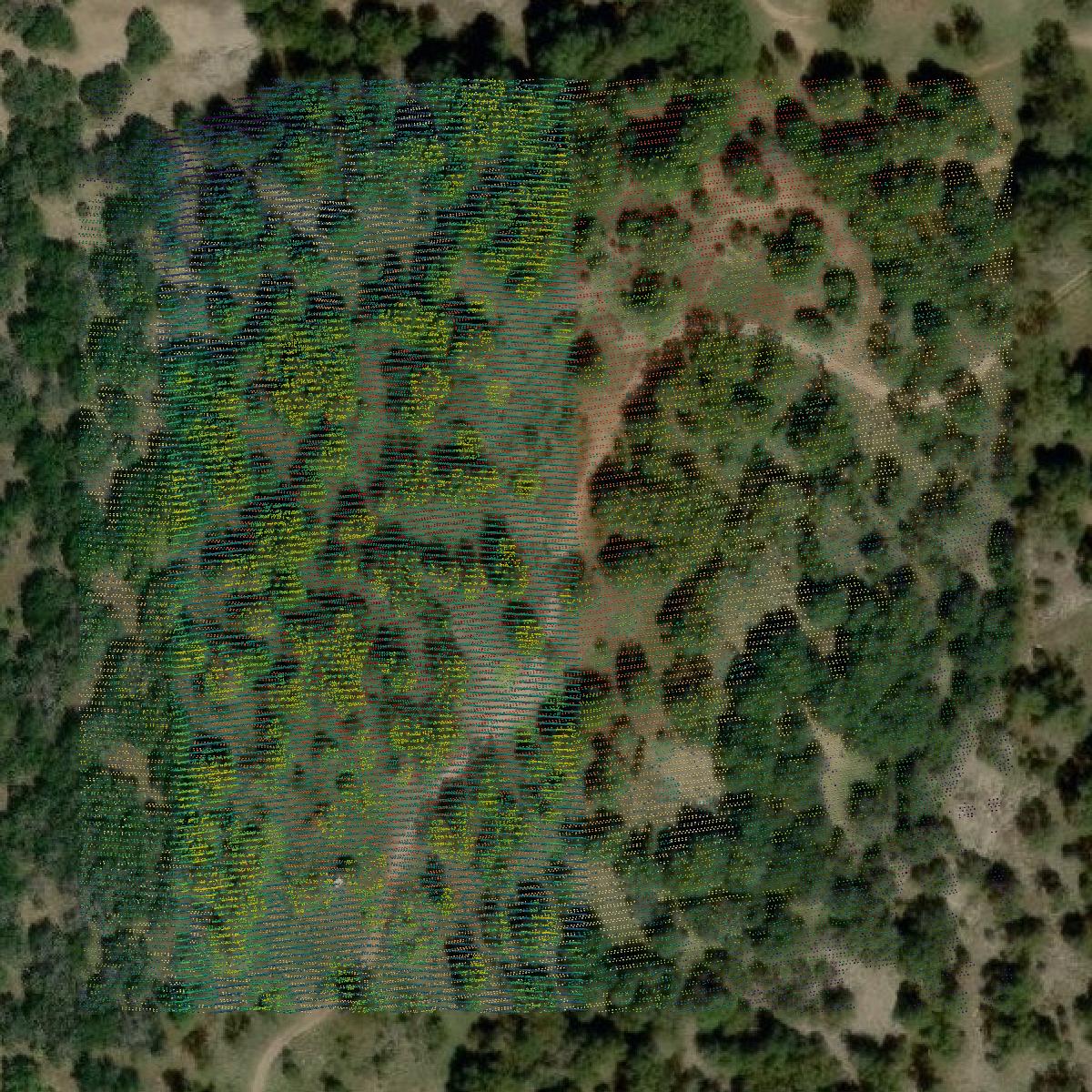 This image shows a LiDAR point cloud in Mills County created using GIS data in Equator.