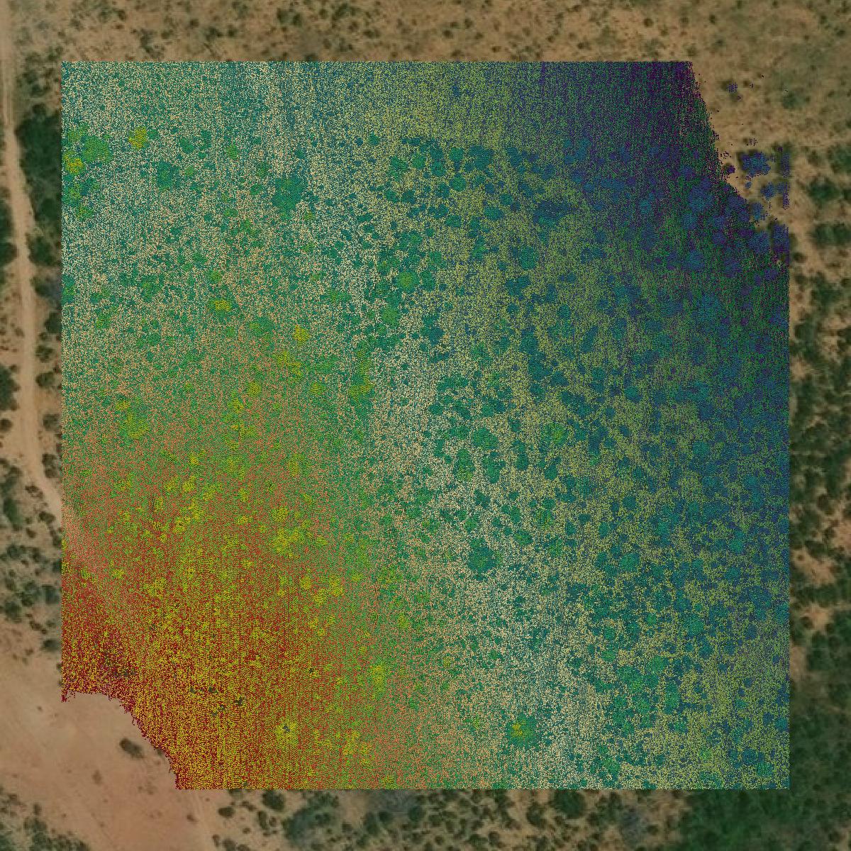 This image shows a LiDAR point cloud in Mitchell County created using GIS data in Equator.