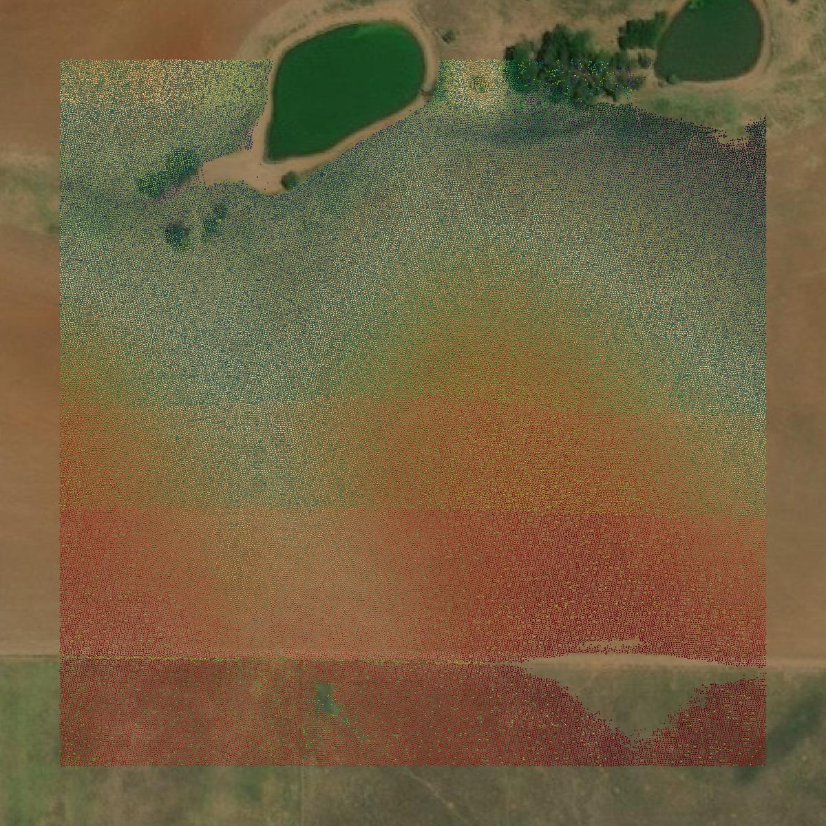 This image shows a LiDAR point cloud in Montague County created using GIS data in Equator.
