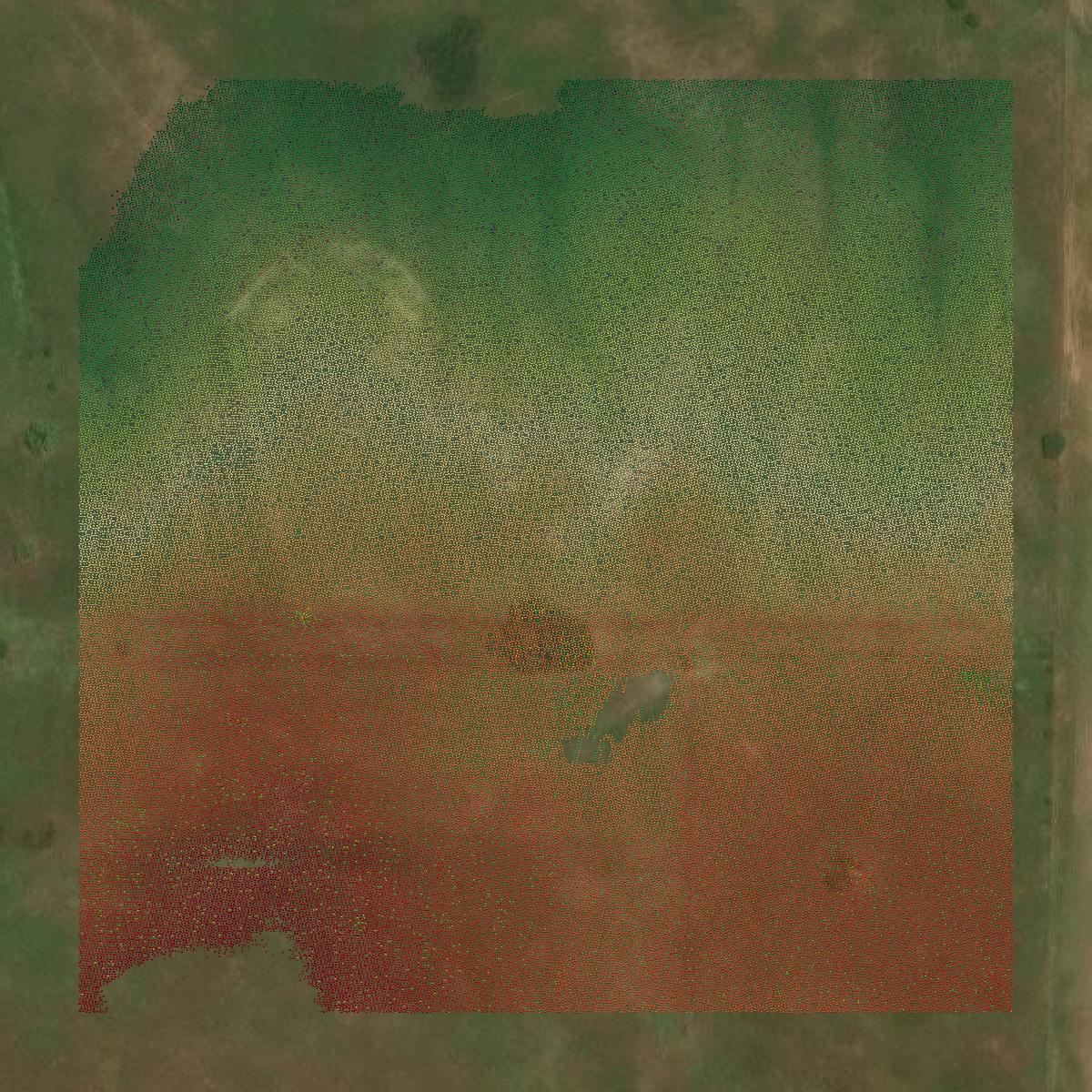 This image shows a LiDAR point cloud in Montague County created using GIS data in Equator.