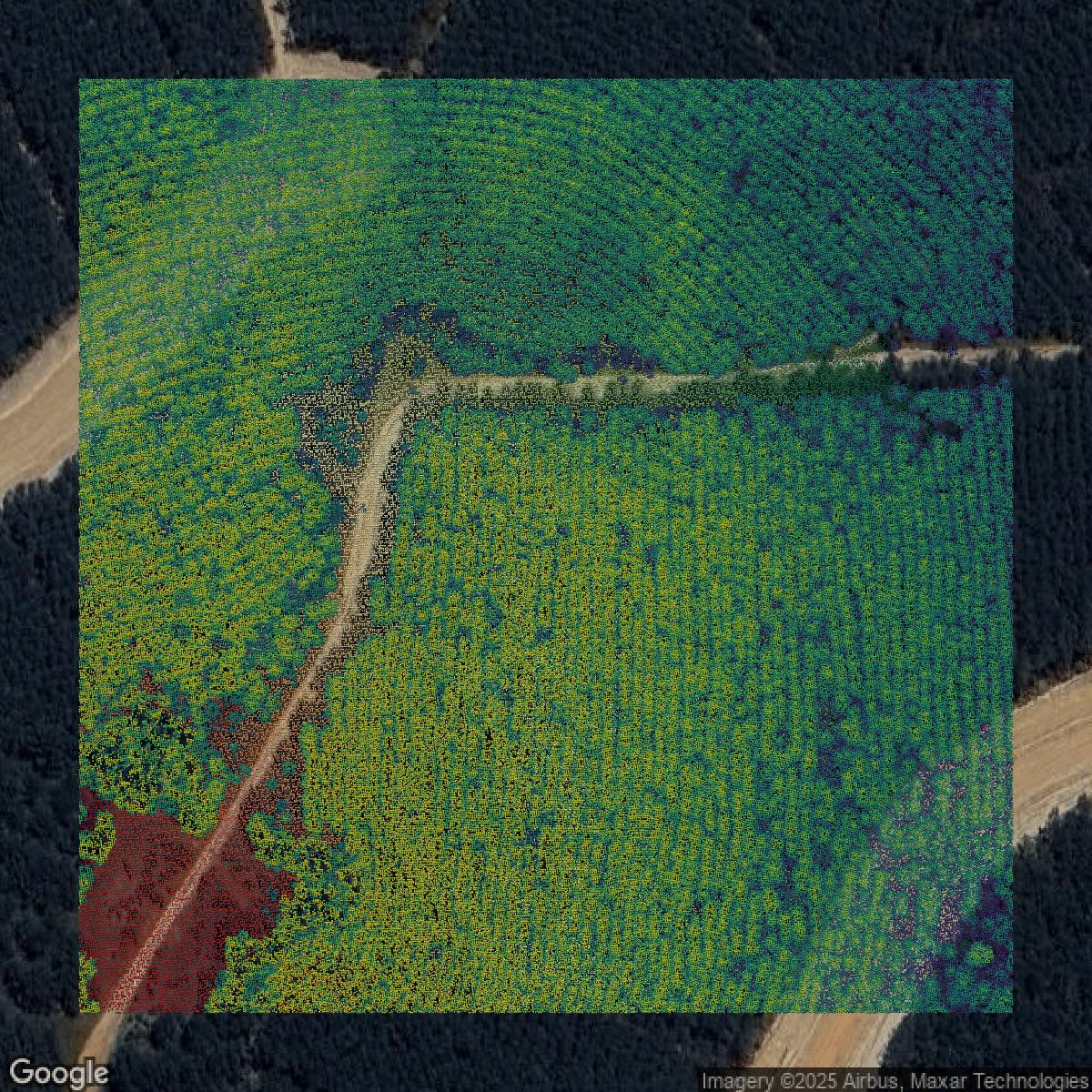 This image shows a LiDAR point cloud in Montgomery County created using GIS data in Equator.