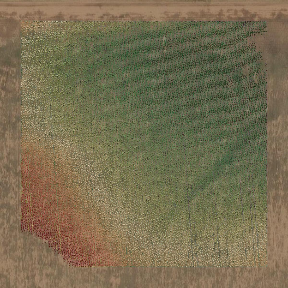 This image shows a LiDAR point cloud in Moore County created using GIS data in Equator.